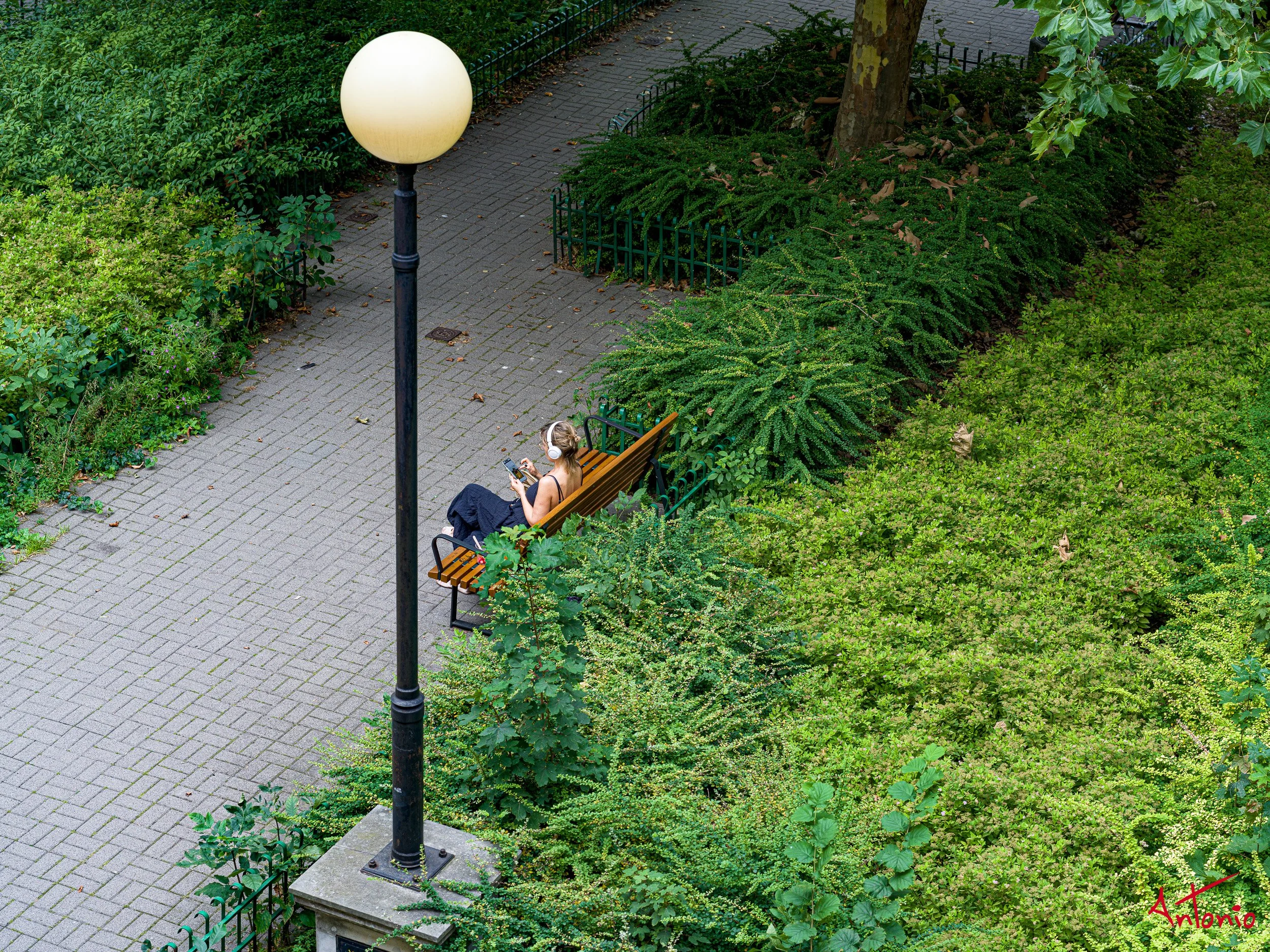 20240818_141624 B0005825 Varsovia, Polonia.jpg