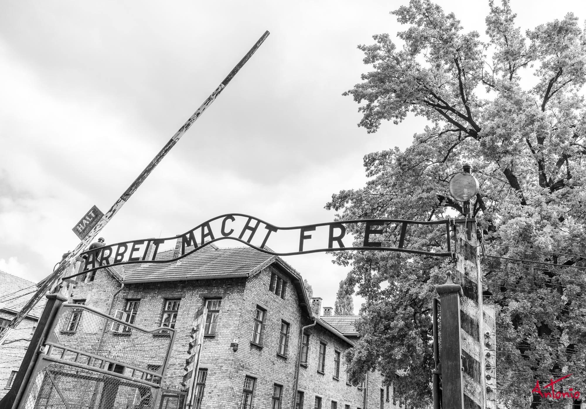 20240820_134849 B0006158 Auschwitz-Brinkenau, Polonia.jpg
