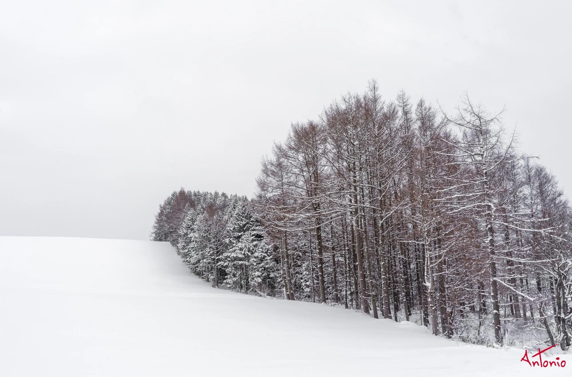 20240117_083706 B0004611 Hokaido.jpg