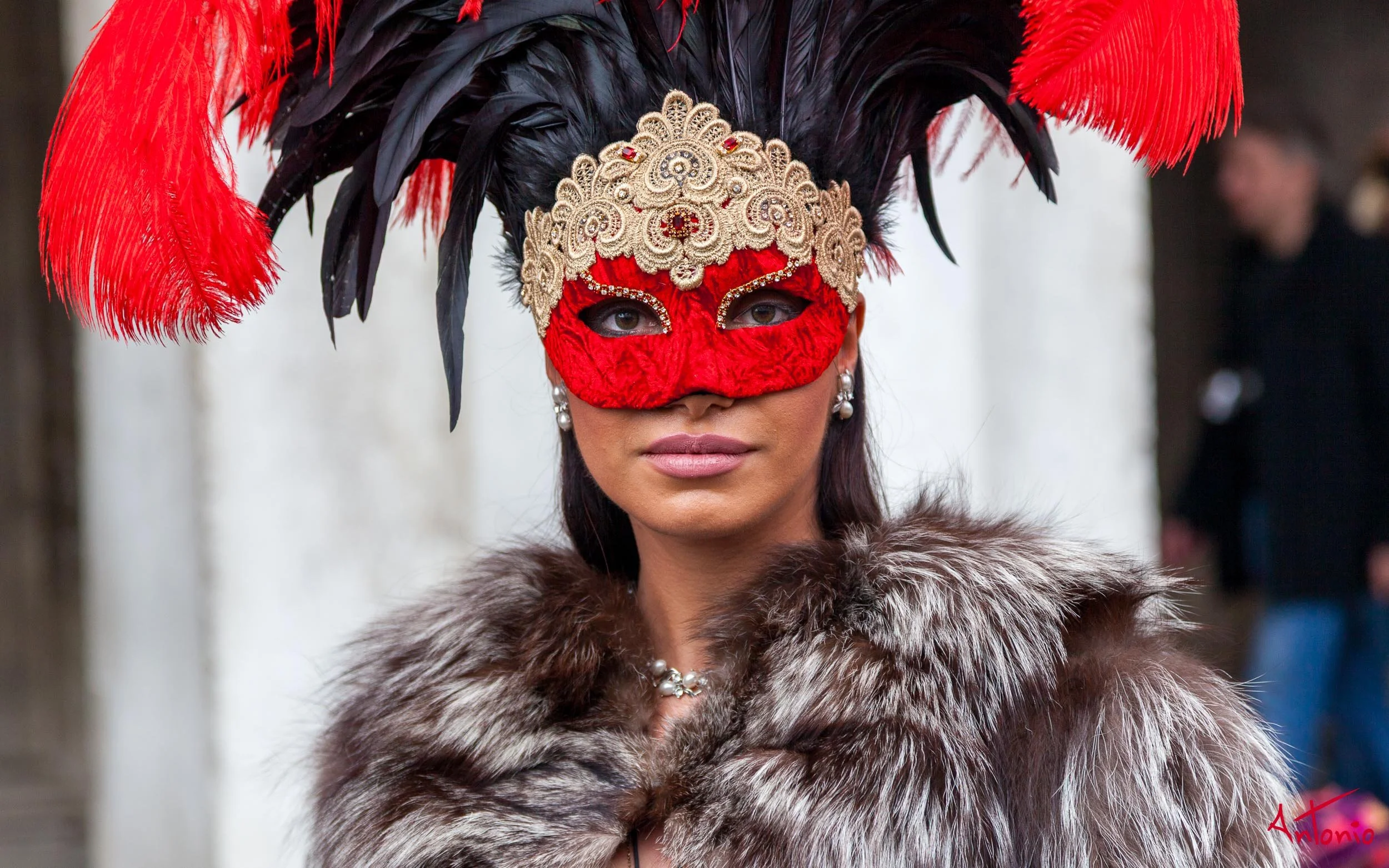 20120219_132421 Carnaval de venecia.jpg