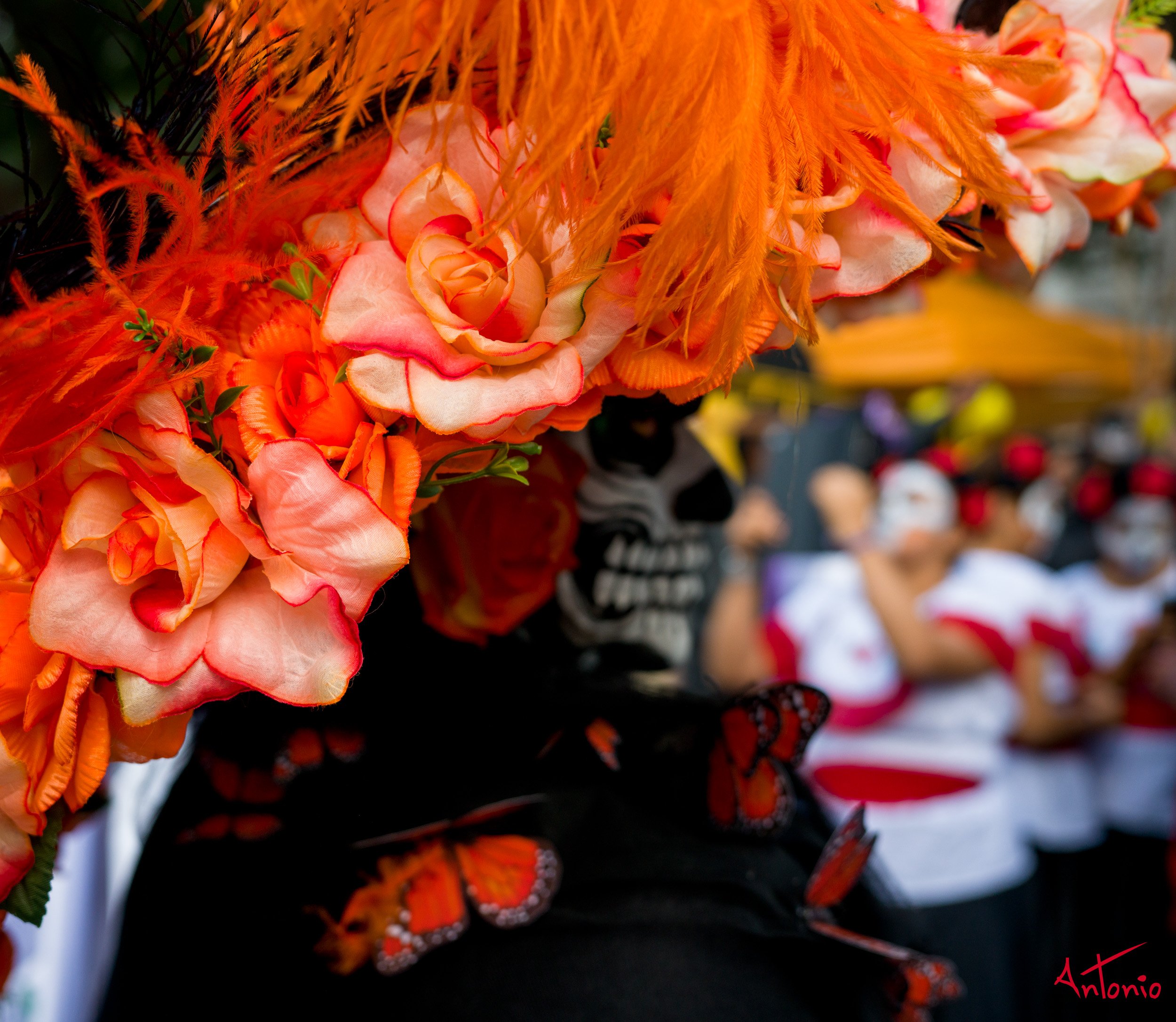 20241027_163719 B0006835 Catrinas.jpg