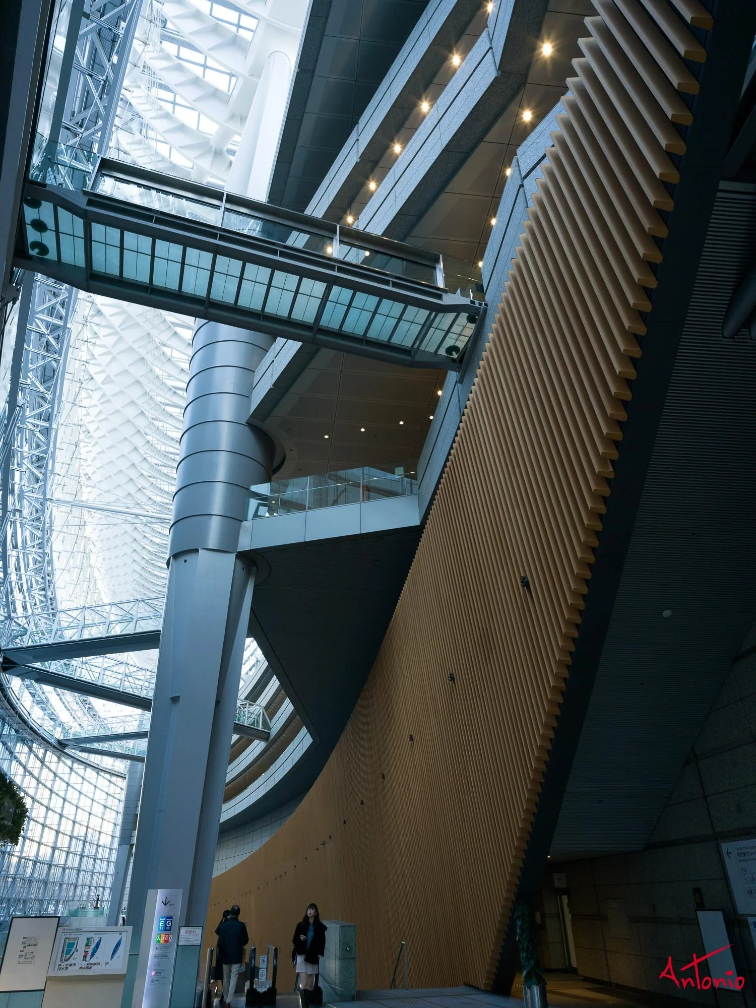 20240123_145349 B0002318 Tokyo.jpg