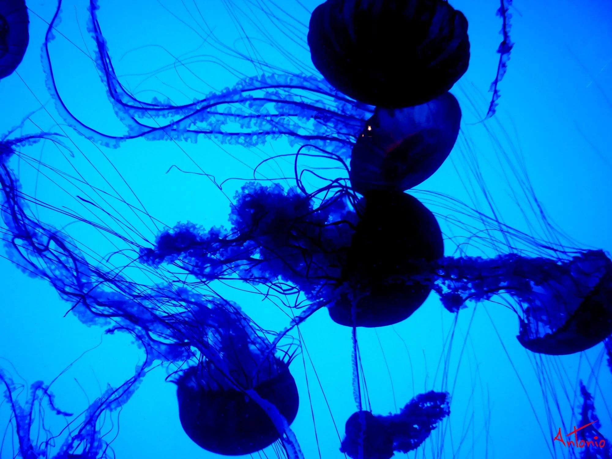 20081019_093250 Atlanta.jpg