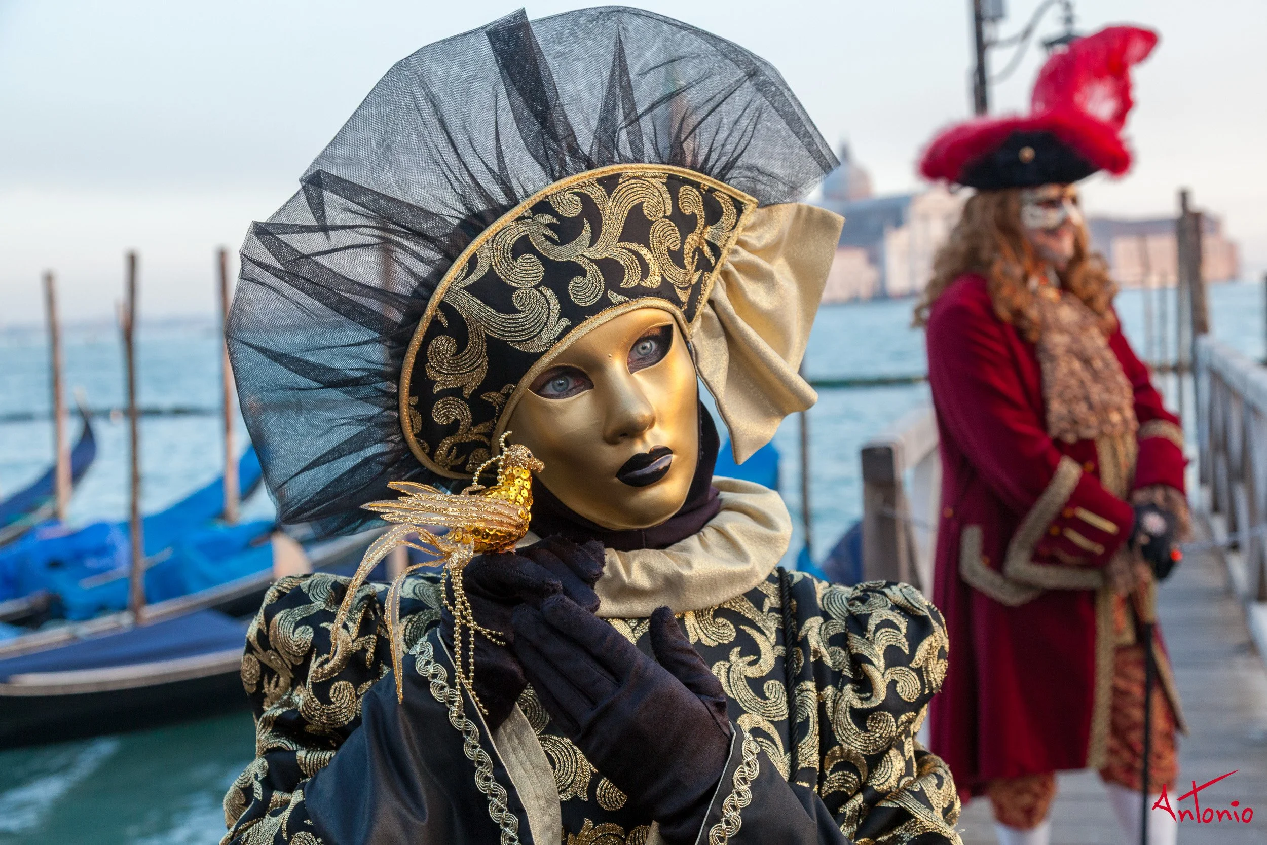 20120216_170837 Carnaval de venecia.jpg