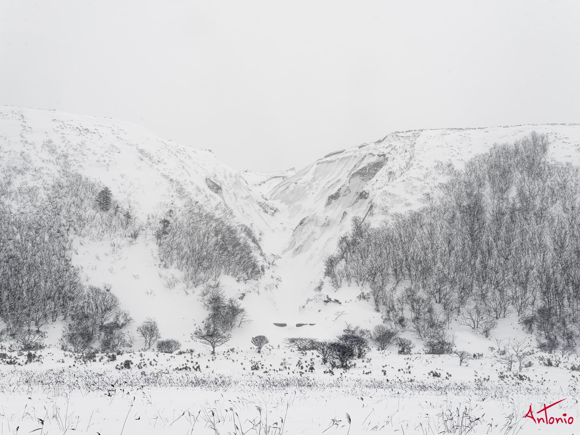 20240114_145632 B0004351 Hokaido.jpg