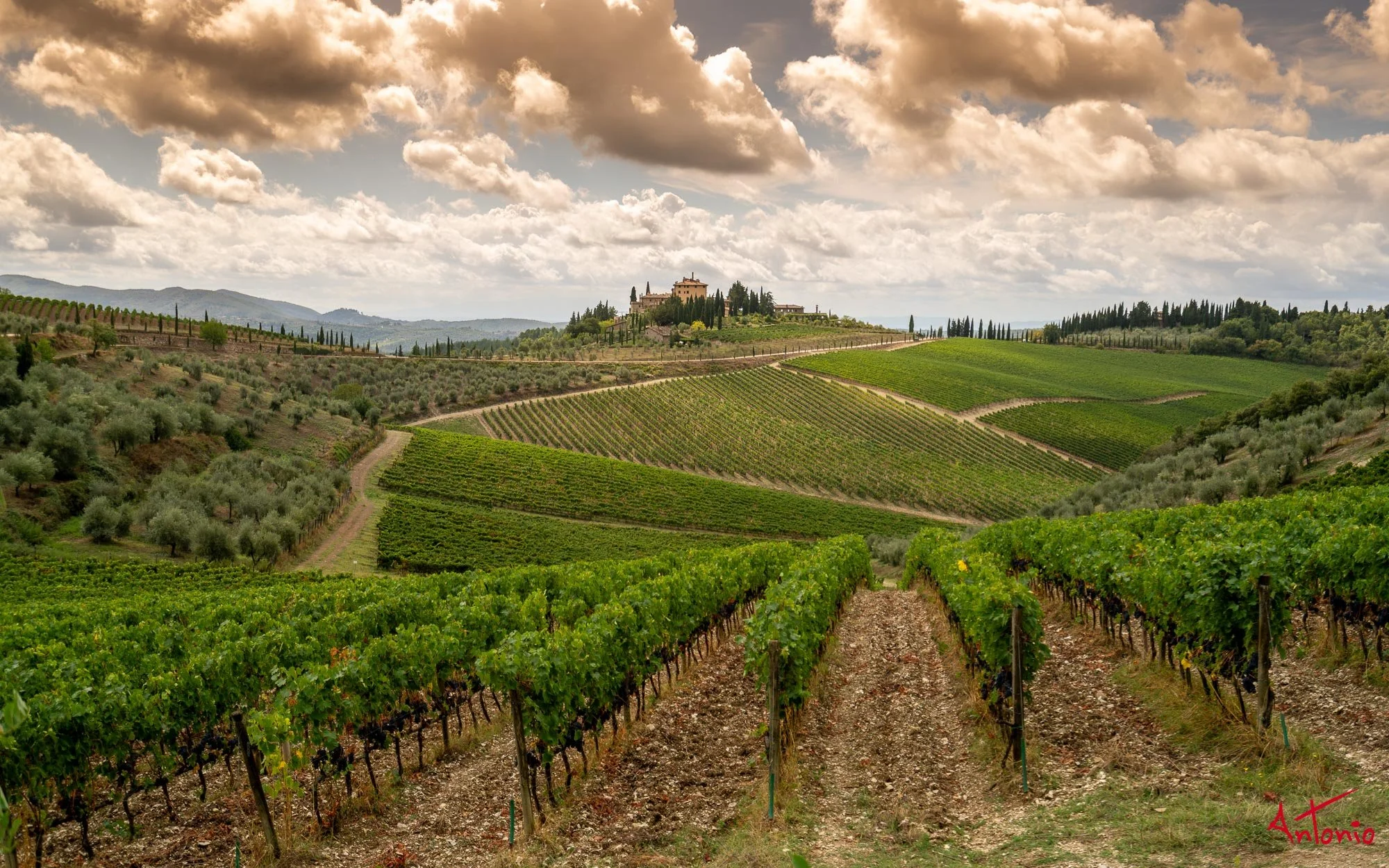 20160917_094048 Toscana.jpg