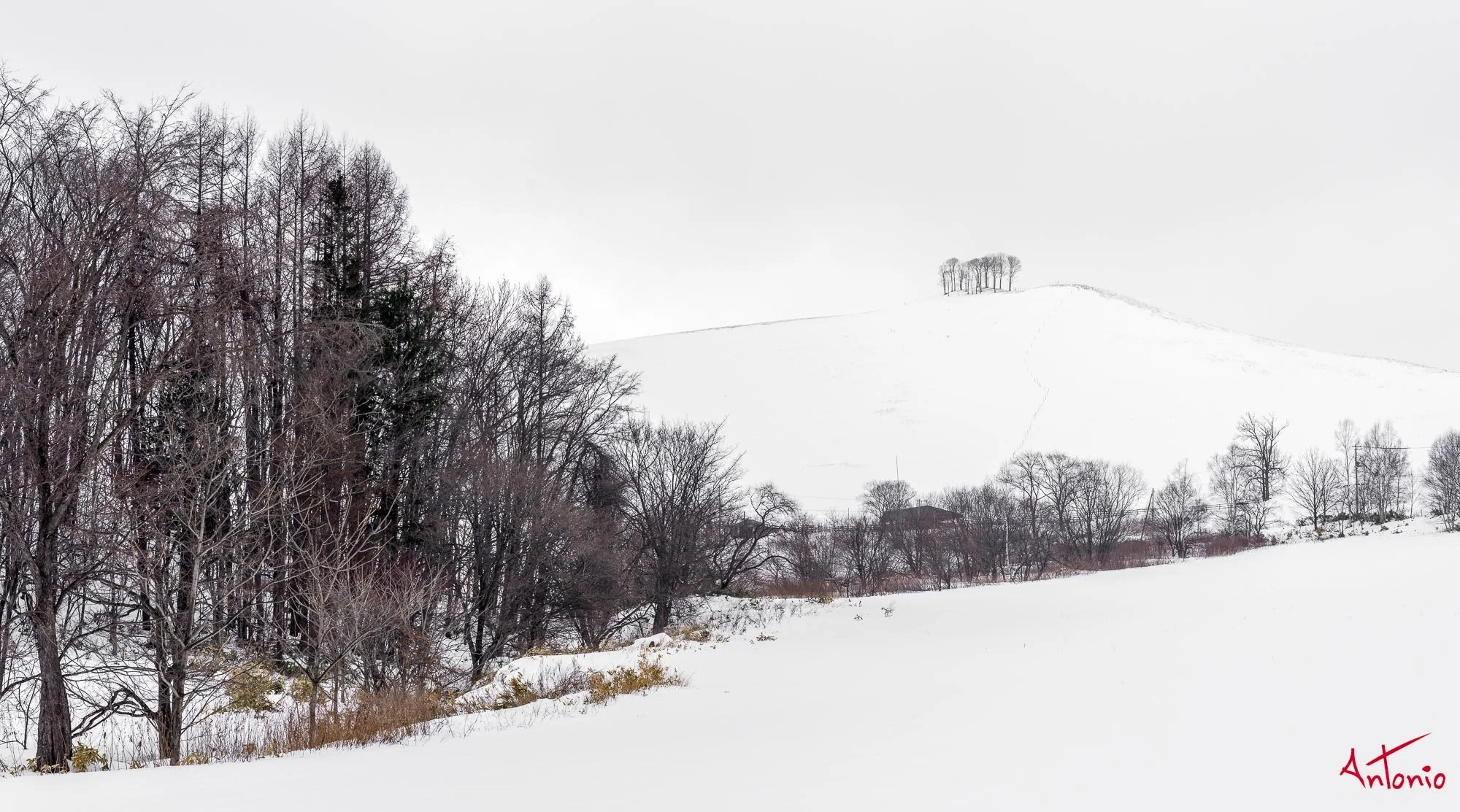 20240118_142951 B0004877 Hokaido.jpg