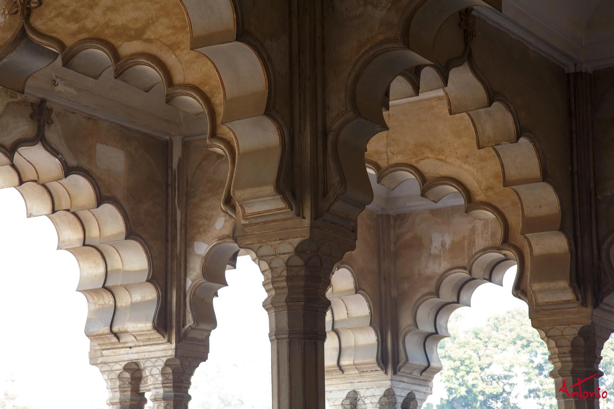 20121202_093234 Agra_6.jpg