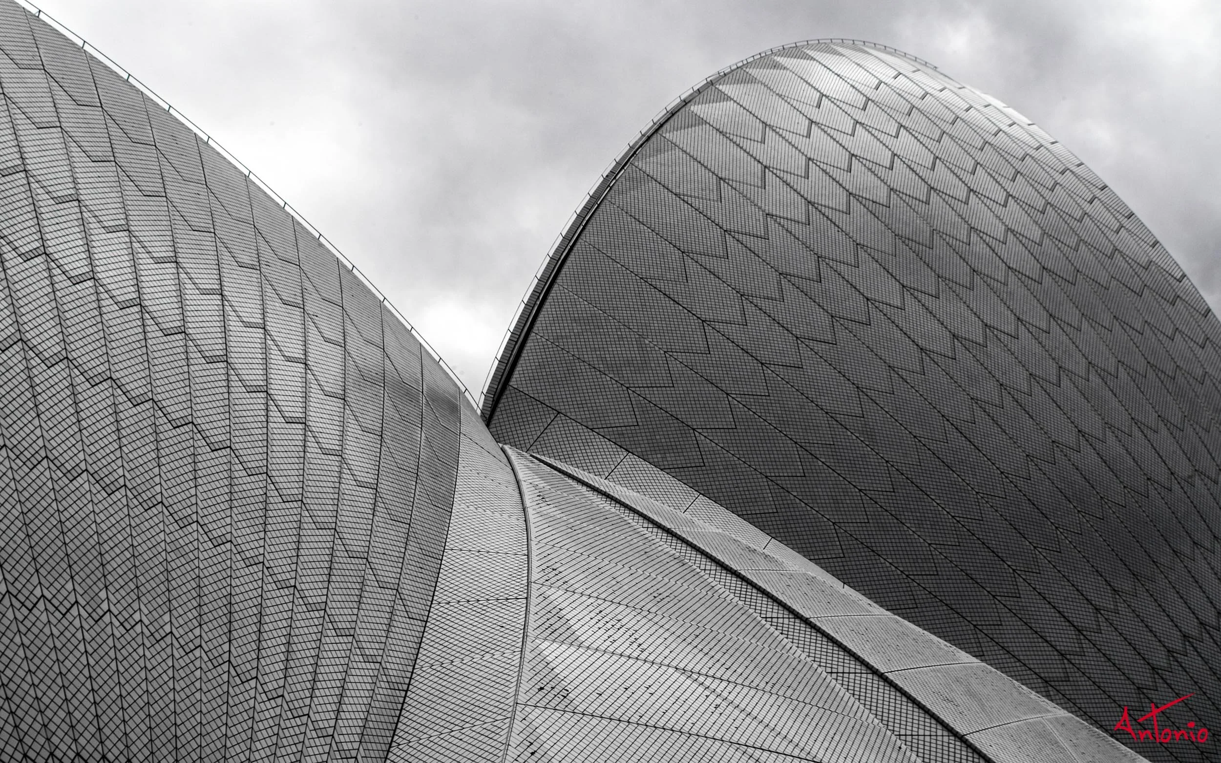 20031118_125509 Sydney_Edit.jpg