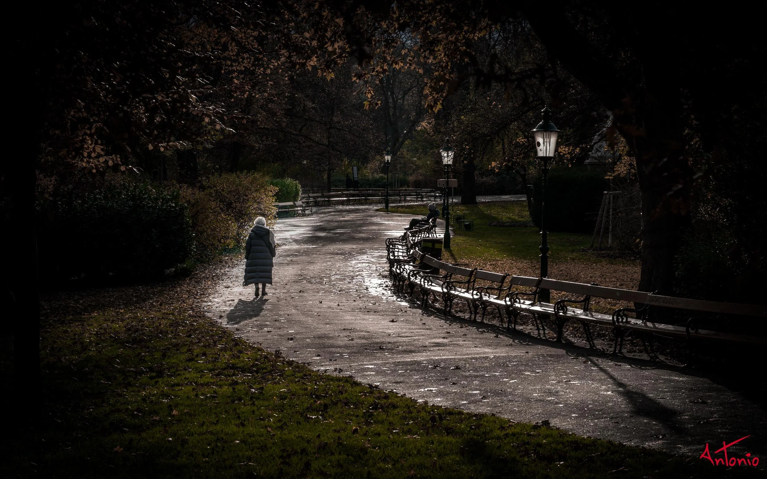 20221126_070719 B0000075 Viena.jpg