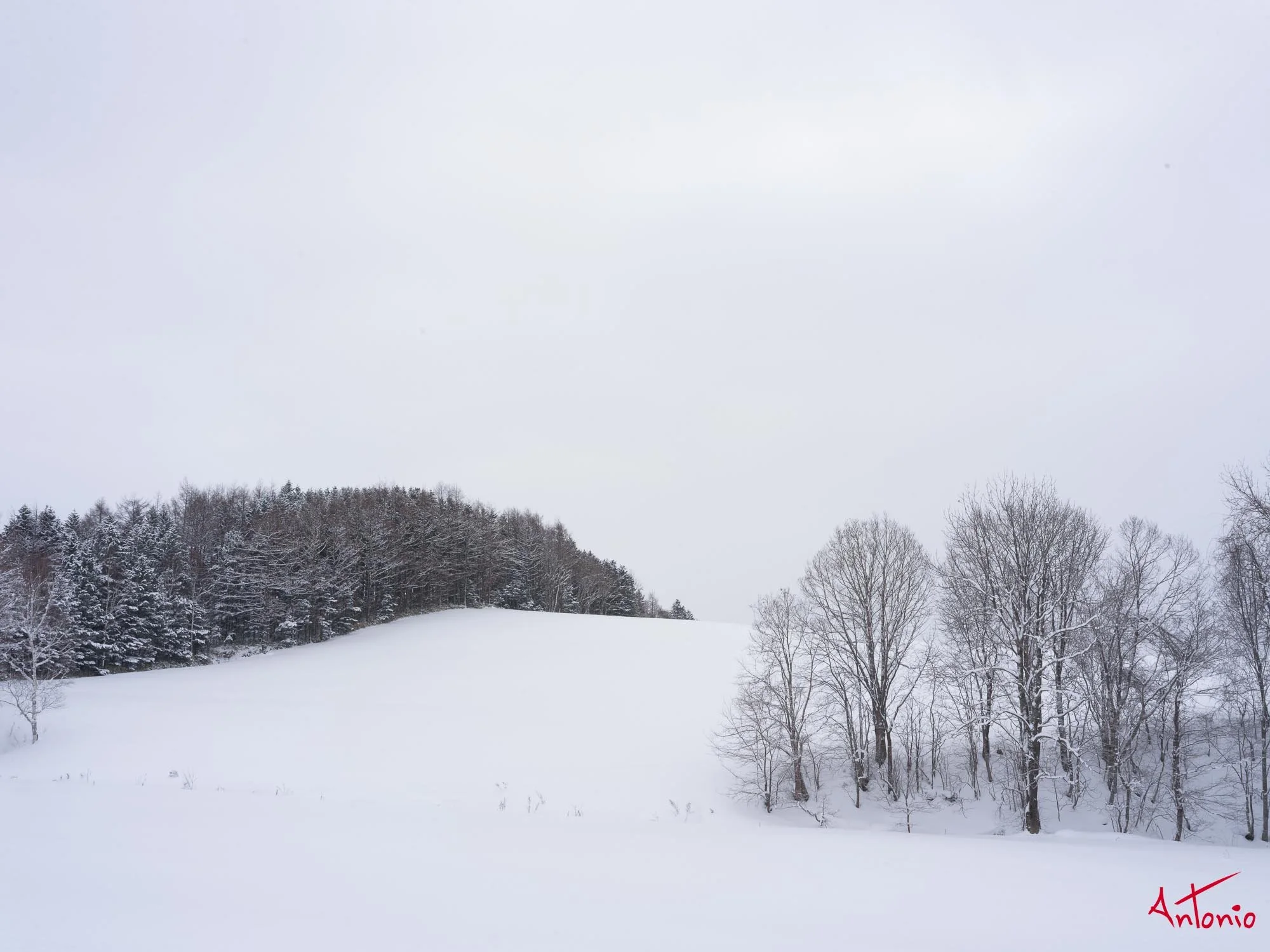 20240117_084135 B0004614 Hokaido.jpg