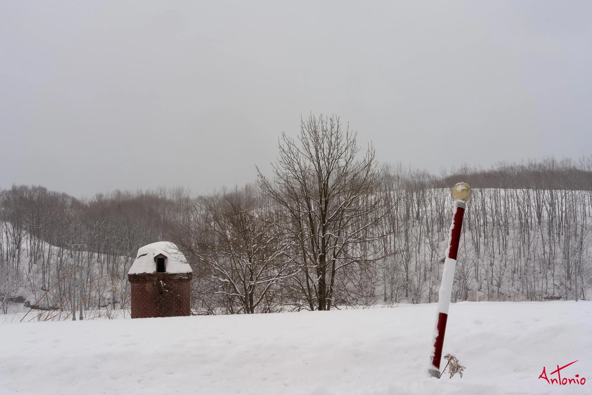 20240116_160215 B0004596 Hokaido.jpg