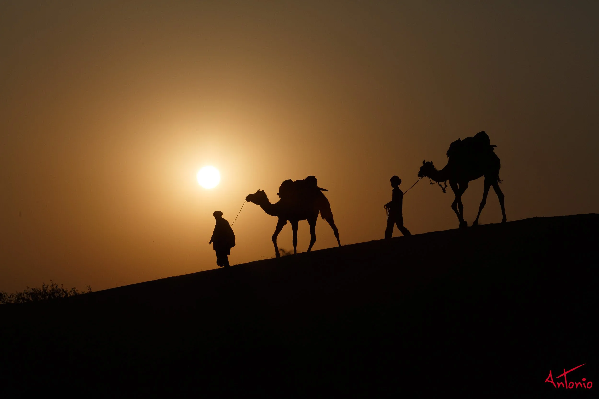 20121122_171136 India_Jamba.jpg