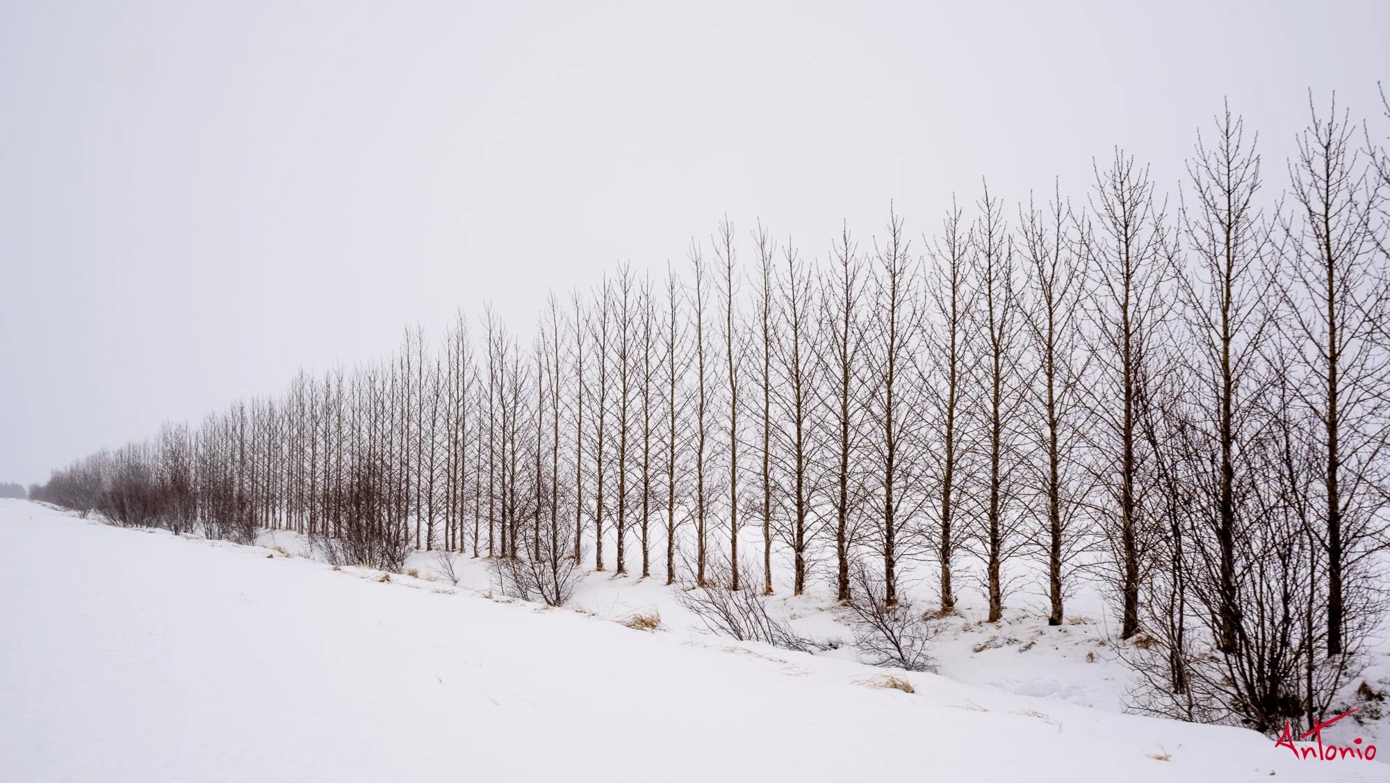 20150123_122716 Islandia.jpg