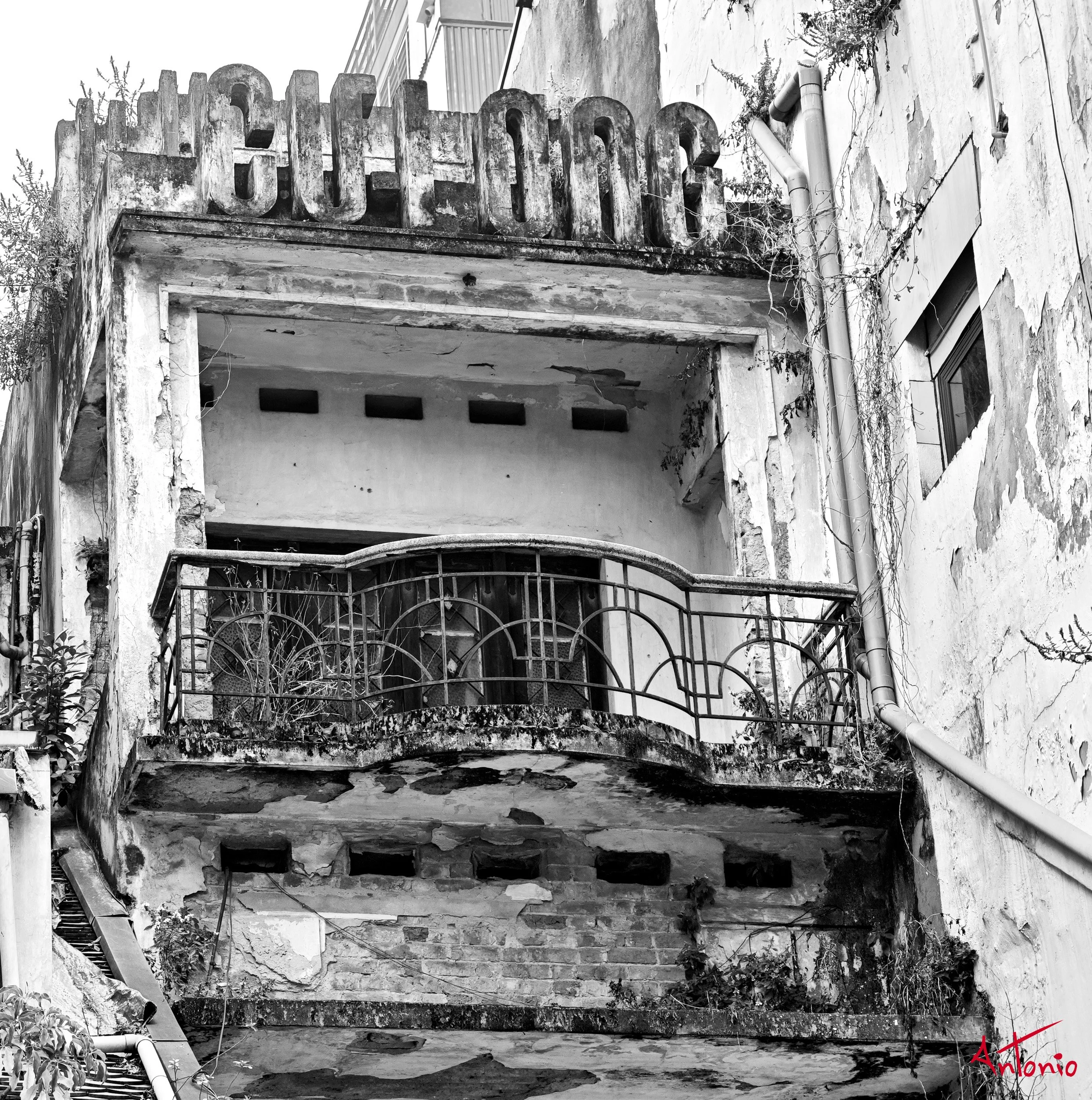 20260205_155644 Ha Noi, Vietnam.jpg