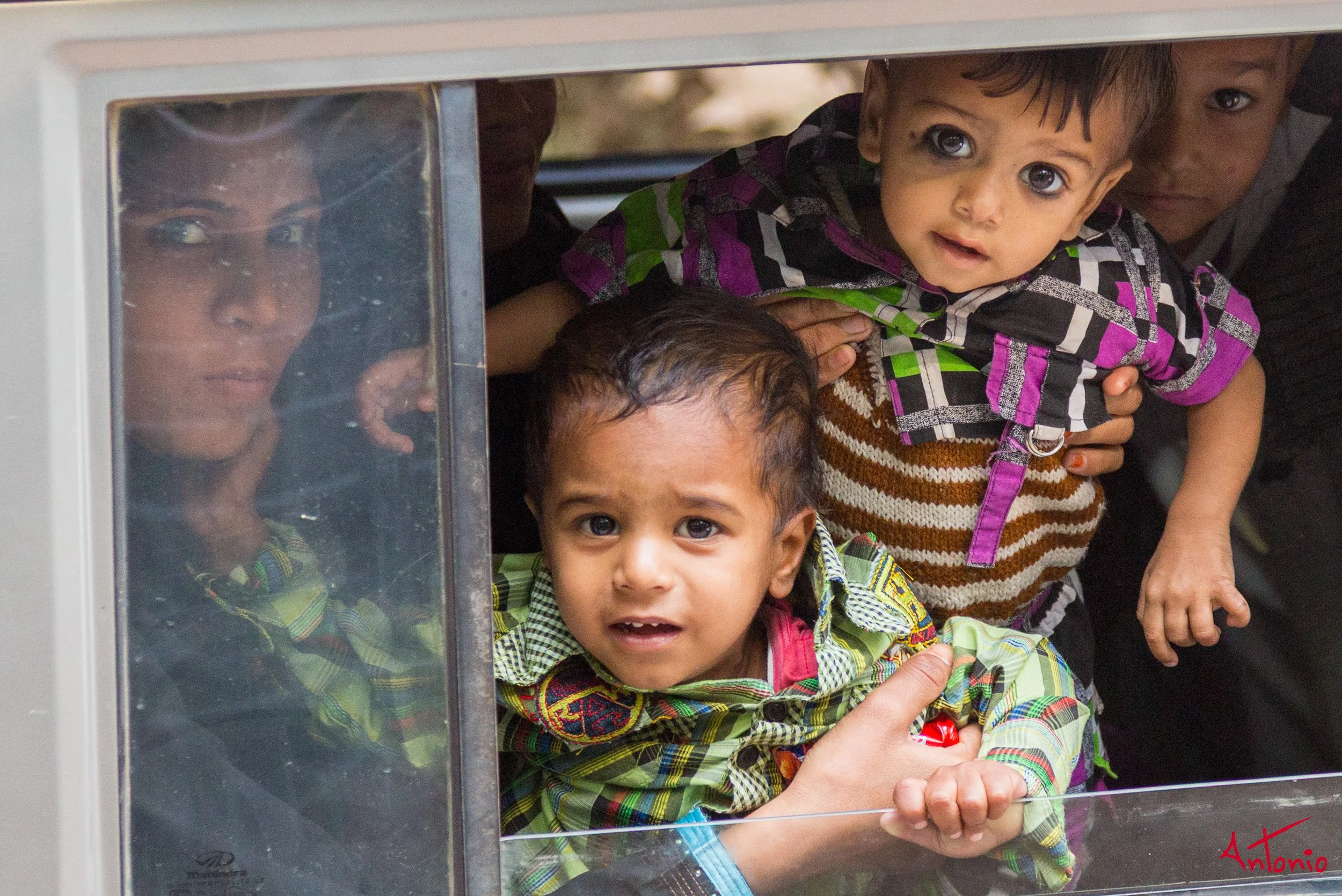 20121128_122759 Ranthambhore.jpg