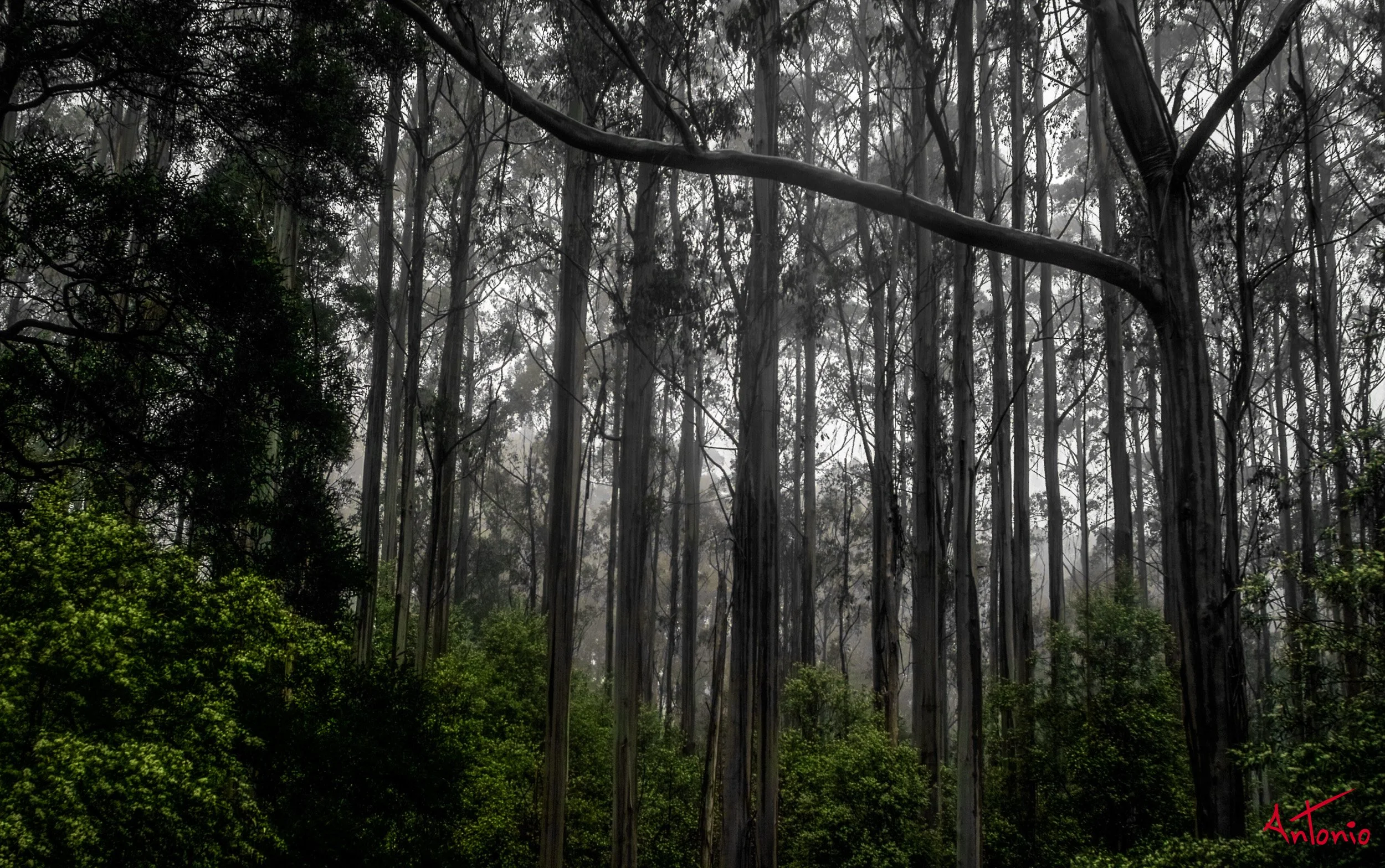 20031122_142548 Melbourne.jpg