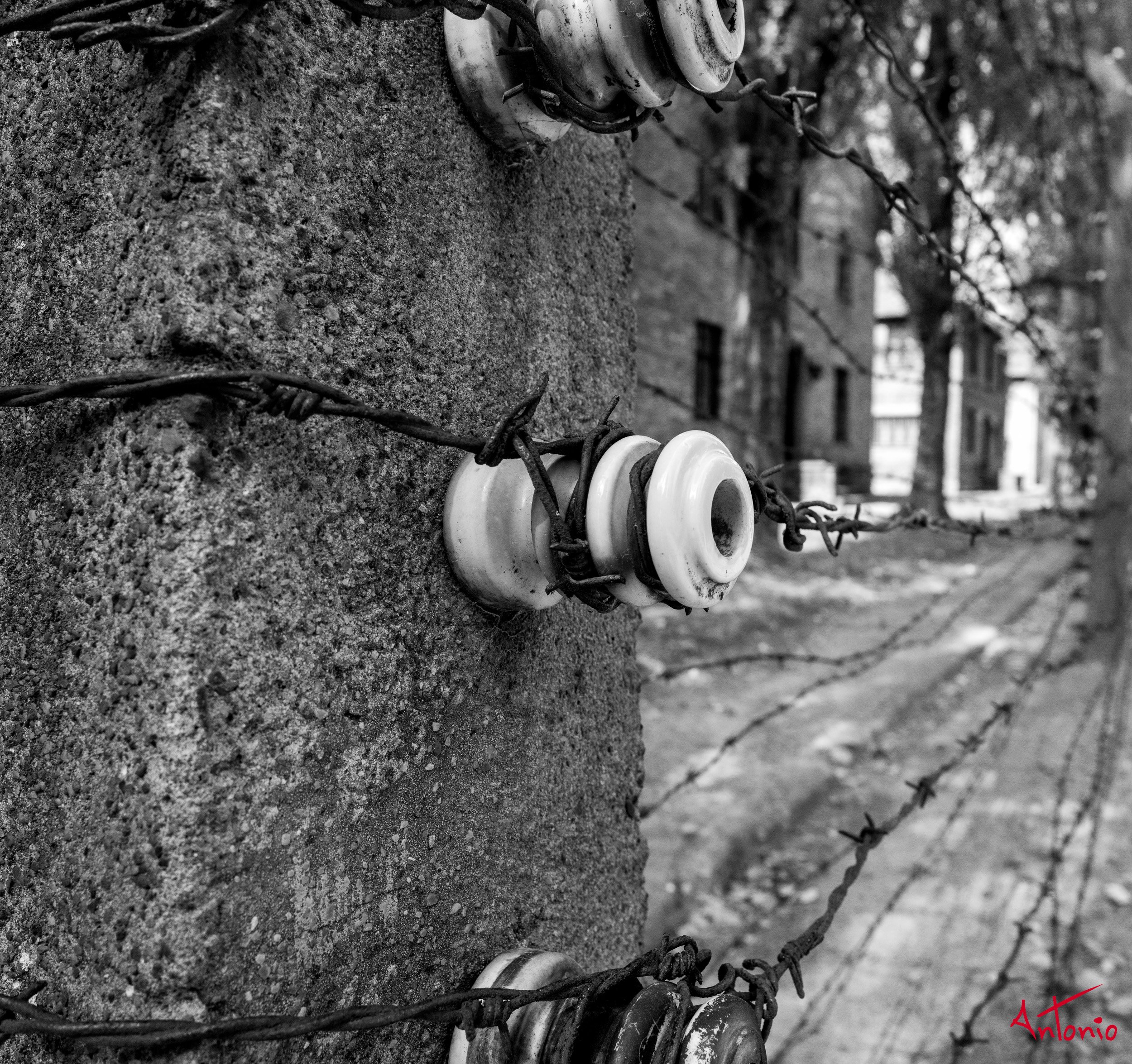 20240820_145558 B0006232 Auschwitz-Brinkenau, Polonia.jpg