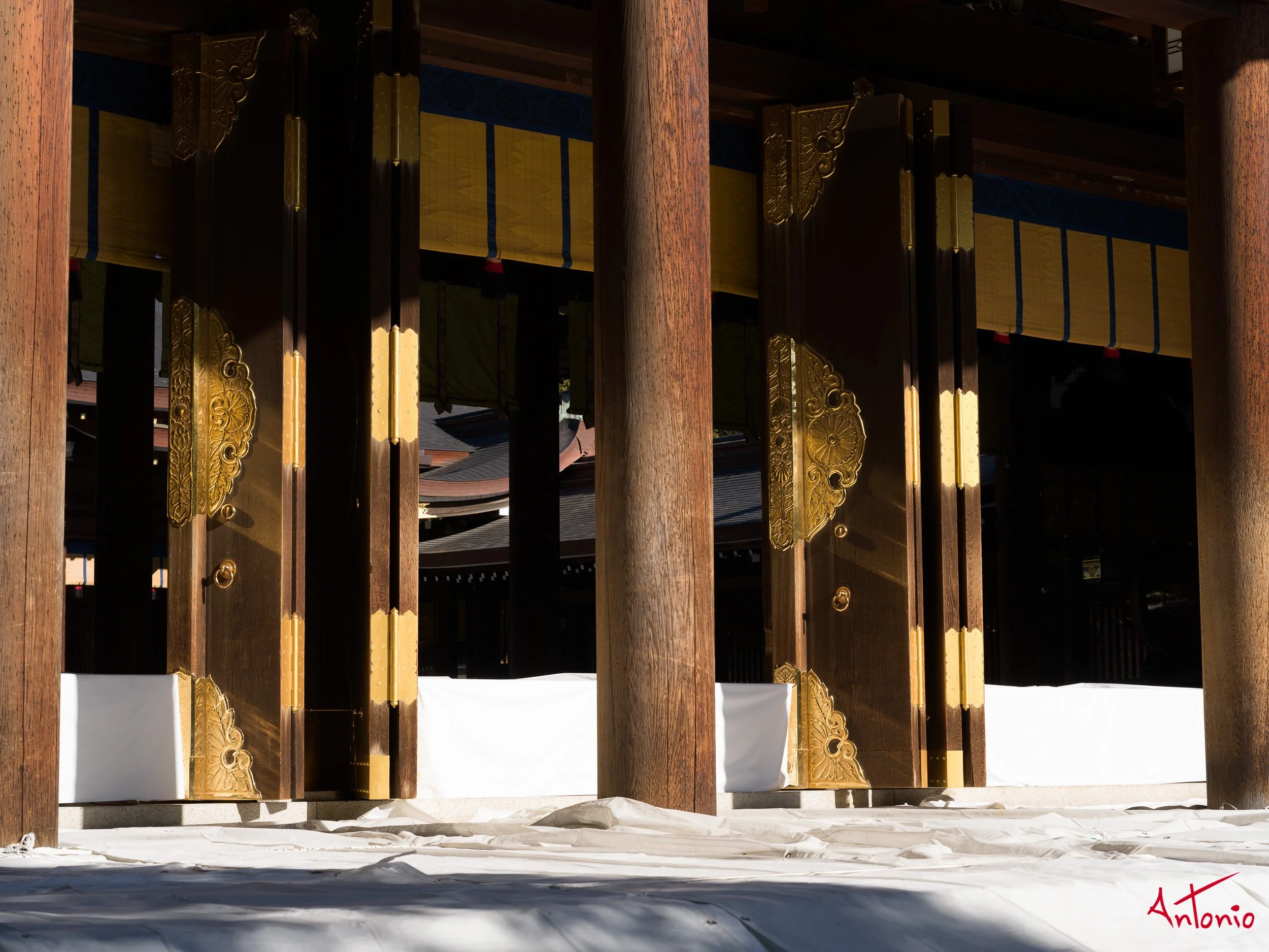 20240123_145750 B0002406 Tokyo.jpg