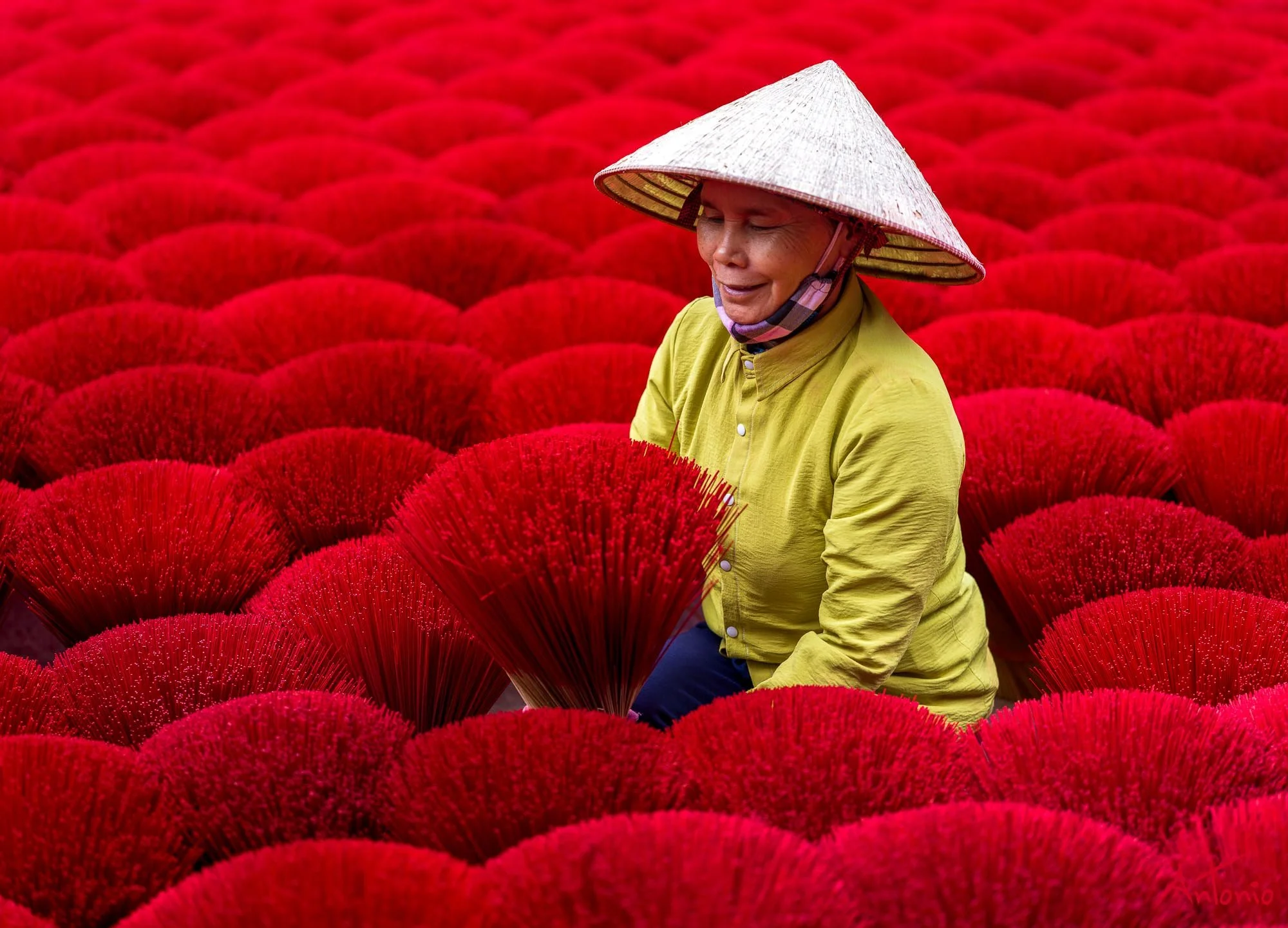 20260201_082008 B0012063 Hanoi, Vietnam.jpg
