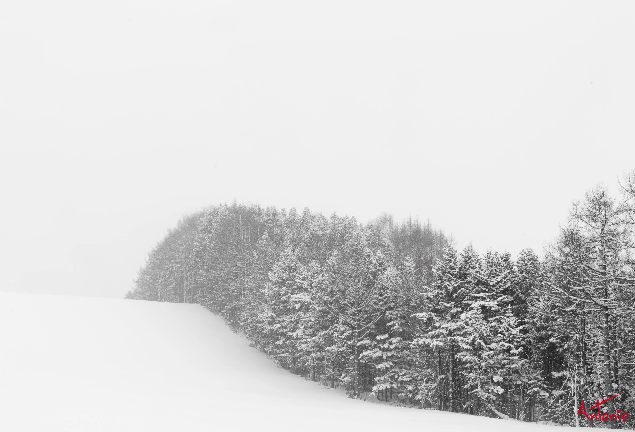 20240116_123355 B0004525 Hokaido.jpg