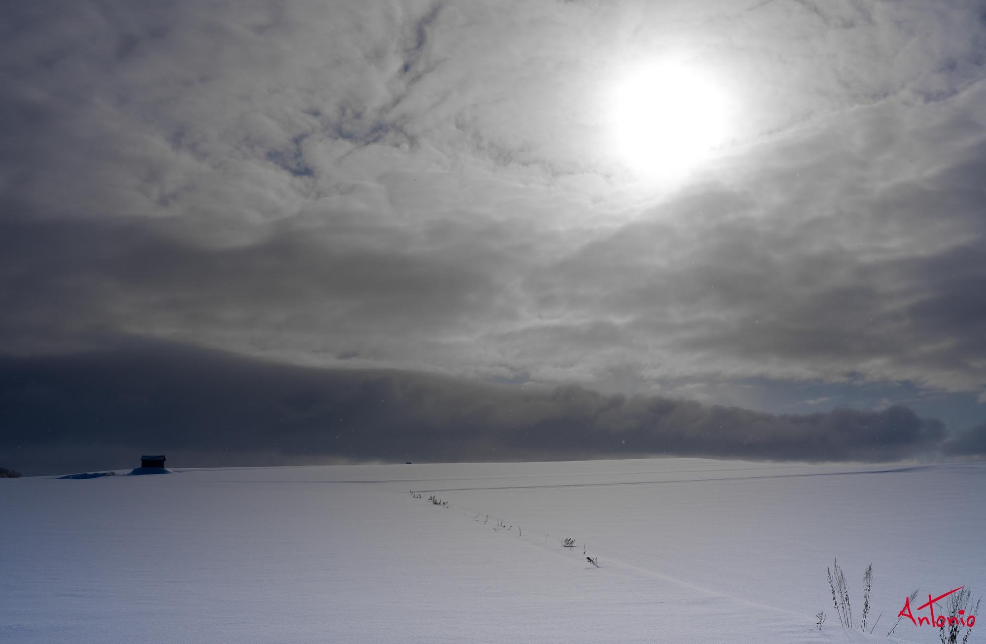 20240108_095725 B0002739 Hokaido.jpg