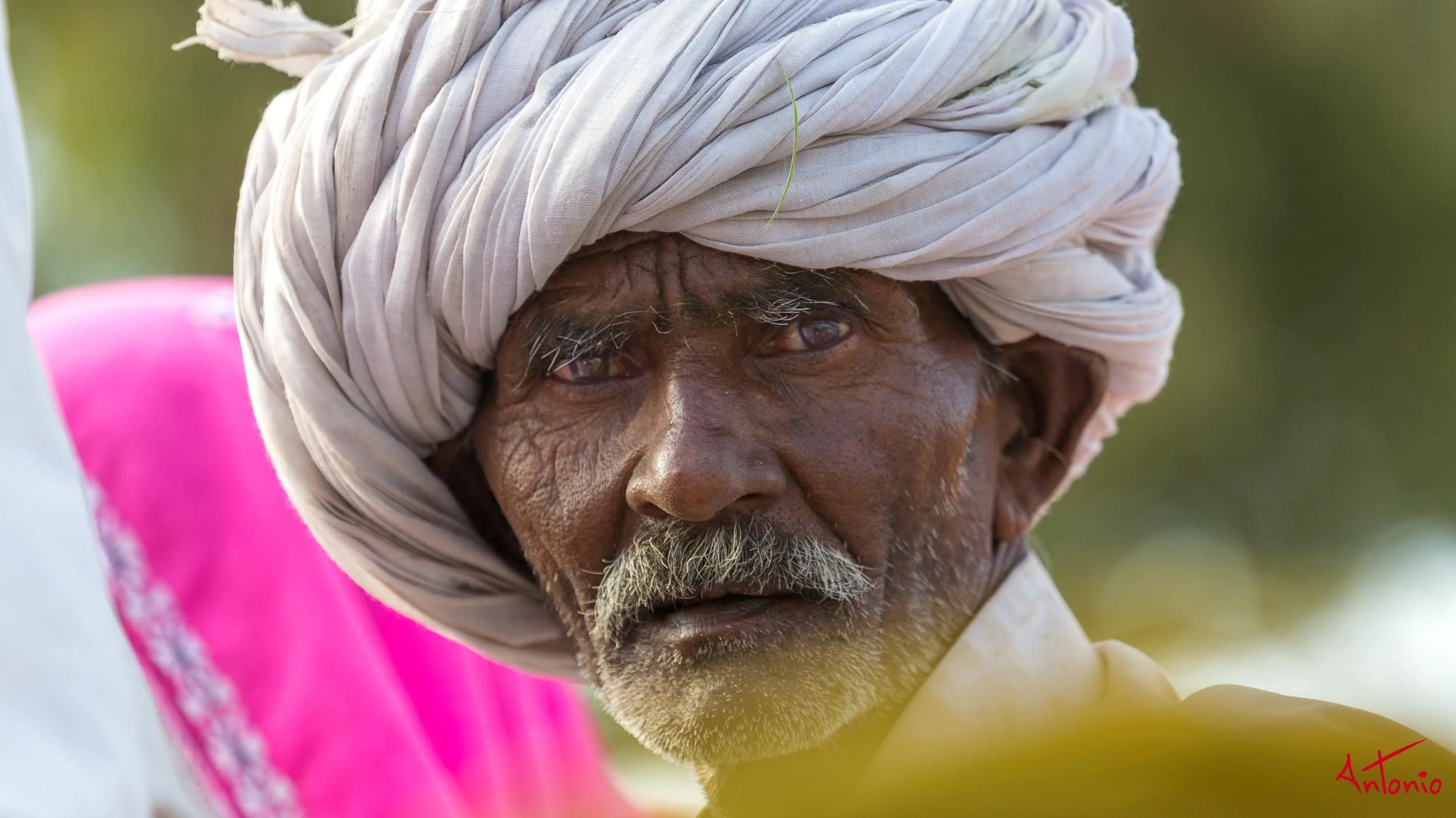 20121124_153548 Pushkar.jpg