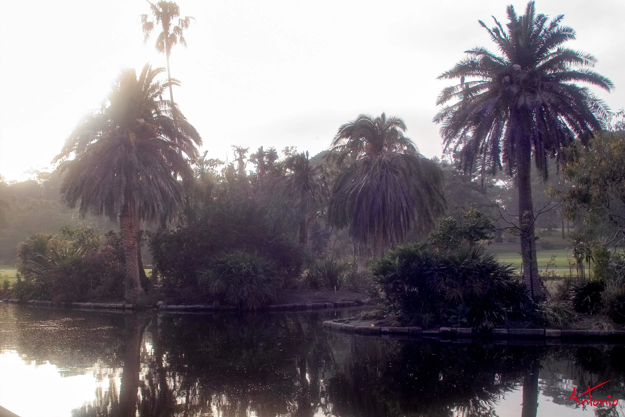 20031120_064321 Sydney.jpg