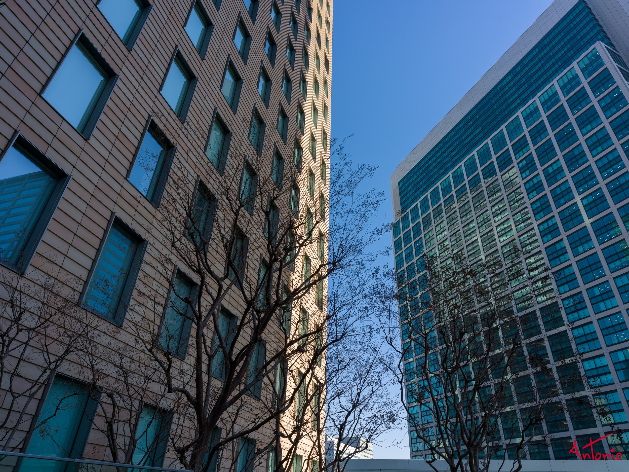 20240123_144848 B0002208 Tokyo.jpg