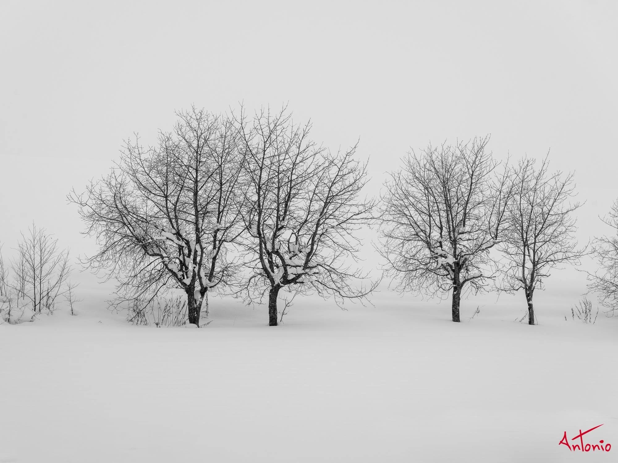 20240110_095601 B0003258 Hokaido.jpg