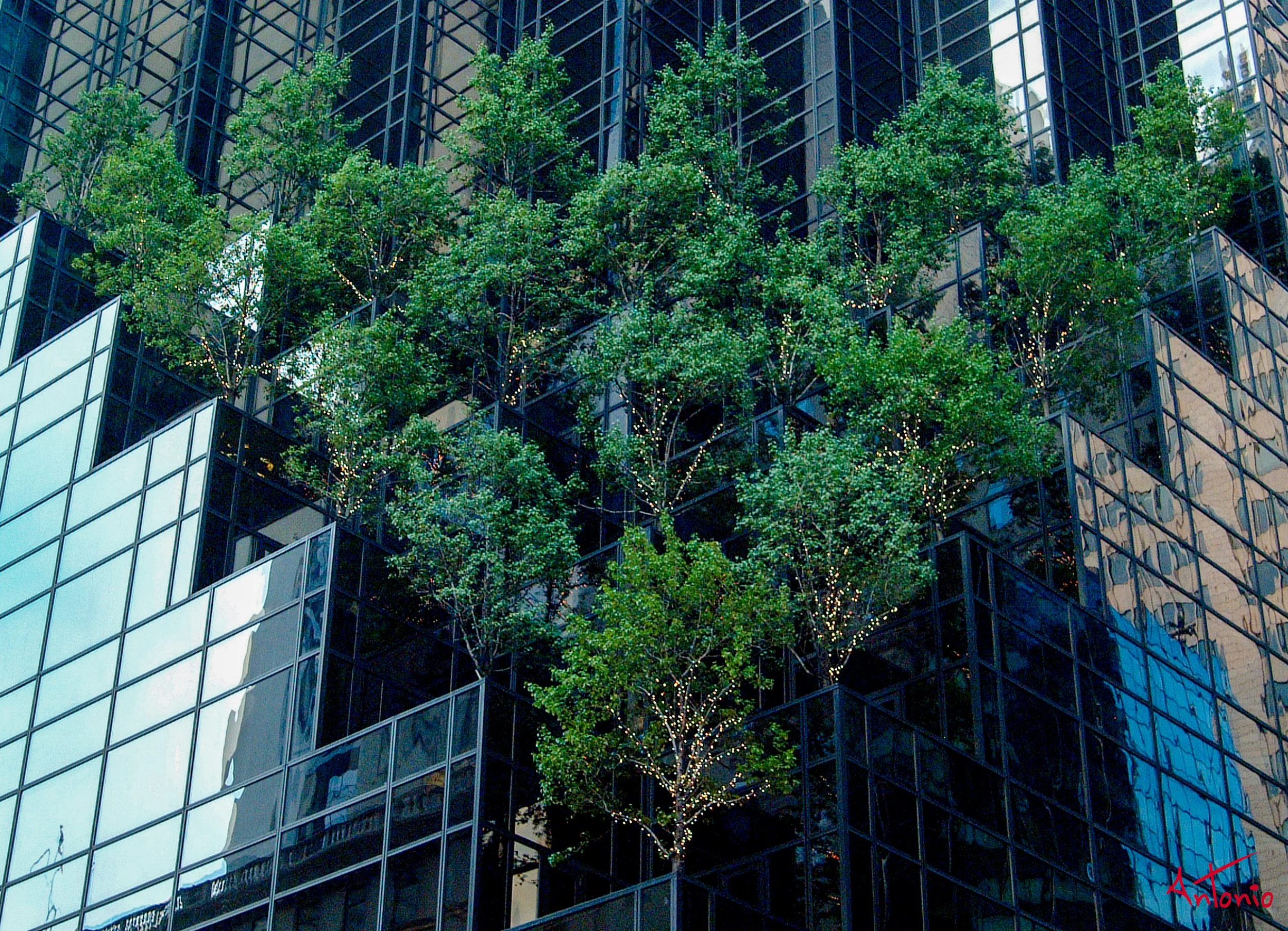 20010721_194602 New York.jpg