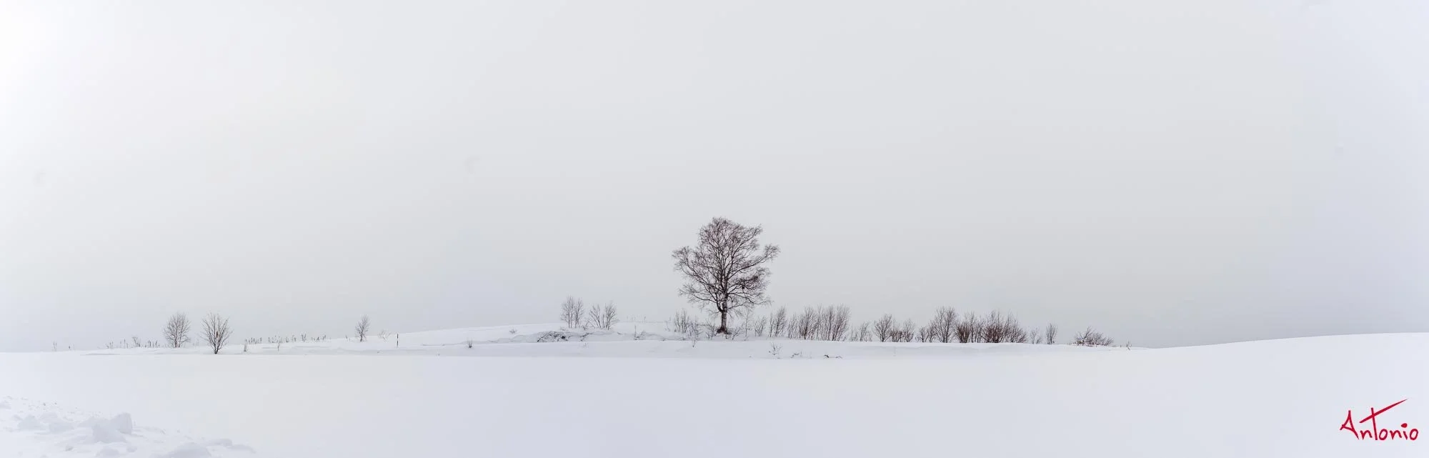 20240109_094311 B0003094 Hokaido-Pano.jpg