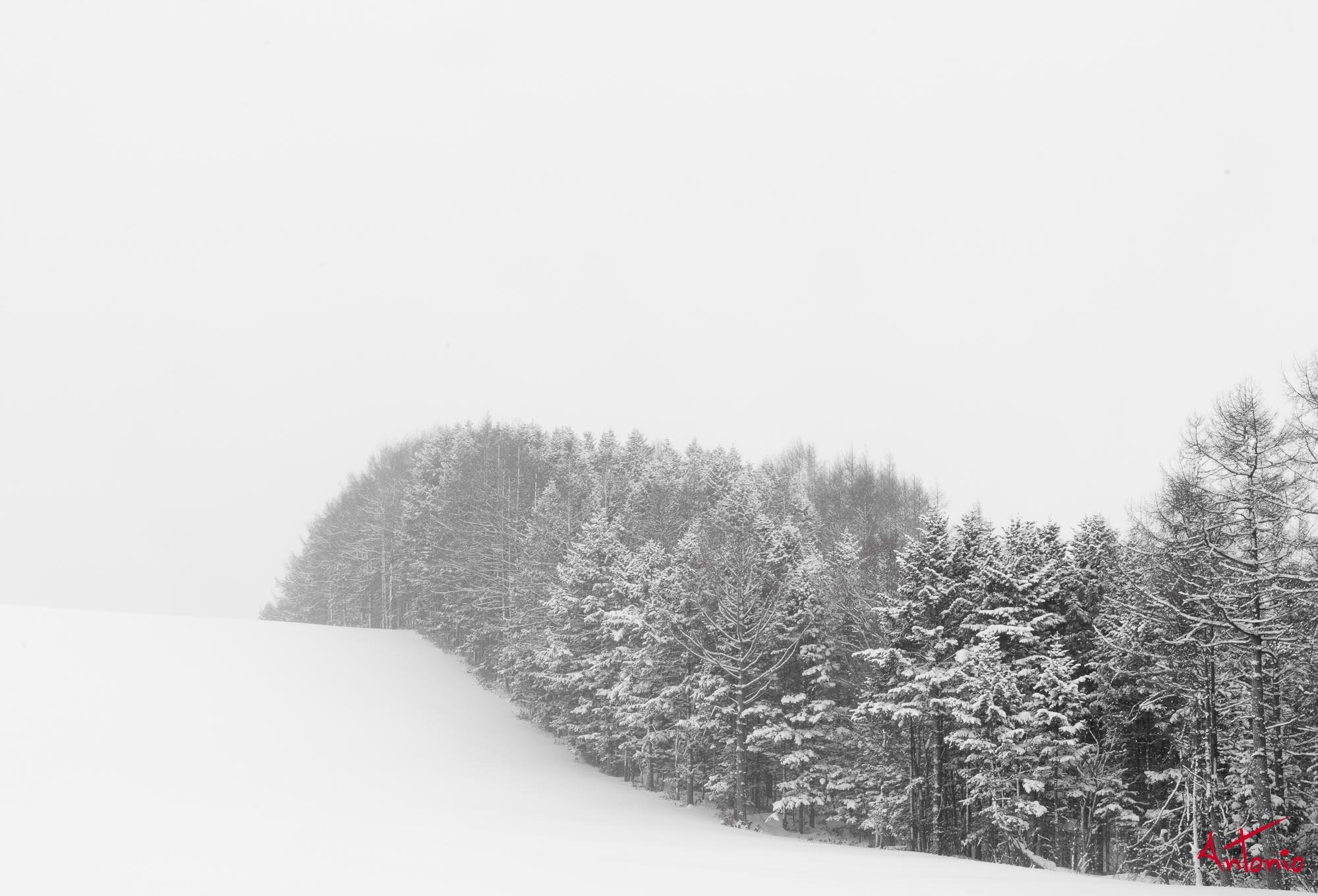 20240116_123355 B0004525 Hokaido.jpg