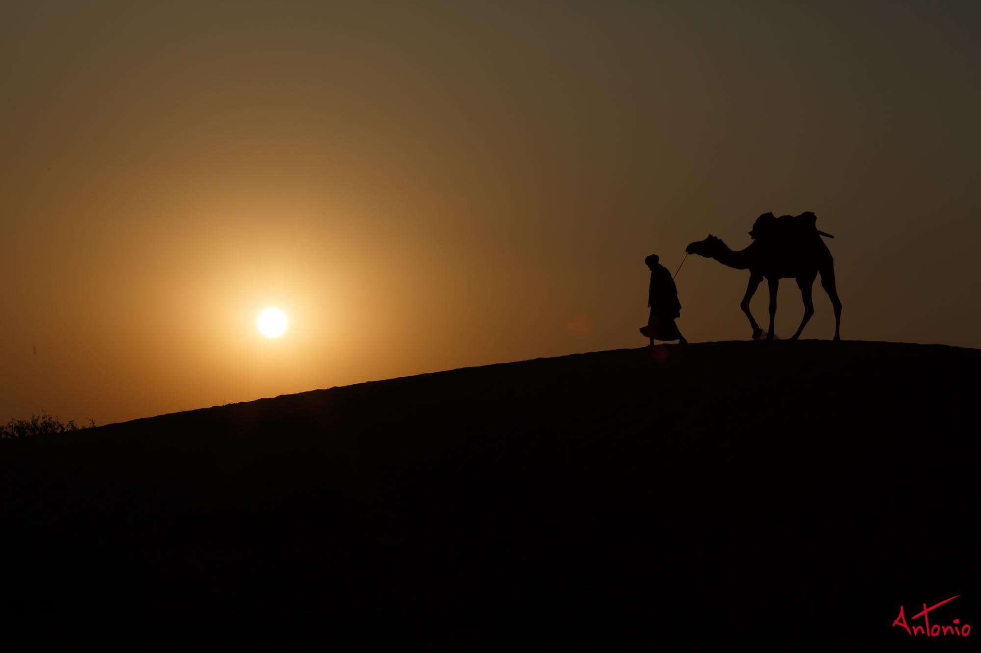 20121122_171538 India_Jamba.jpg