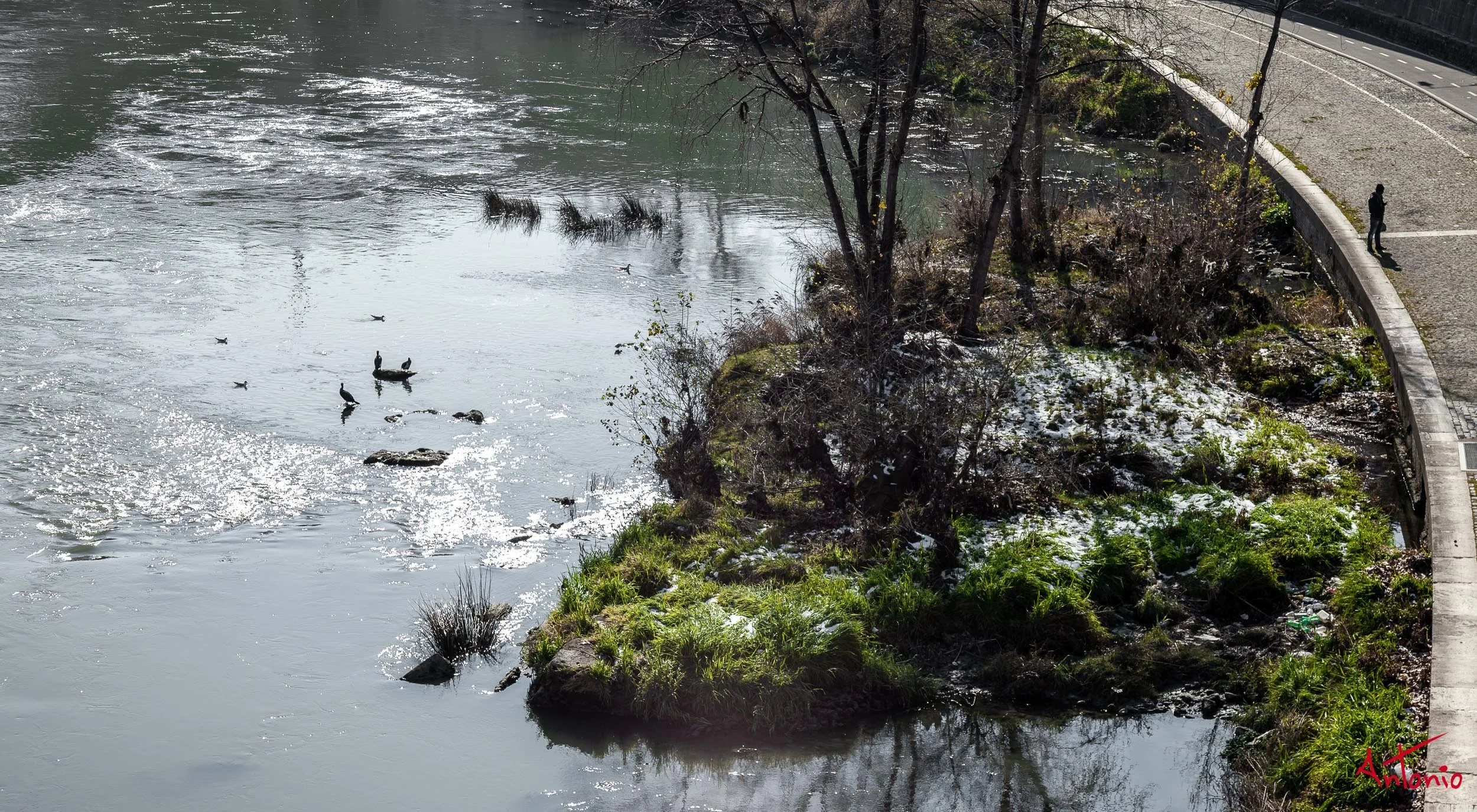 20120212_134757 Roma.jpg