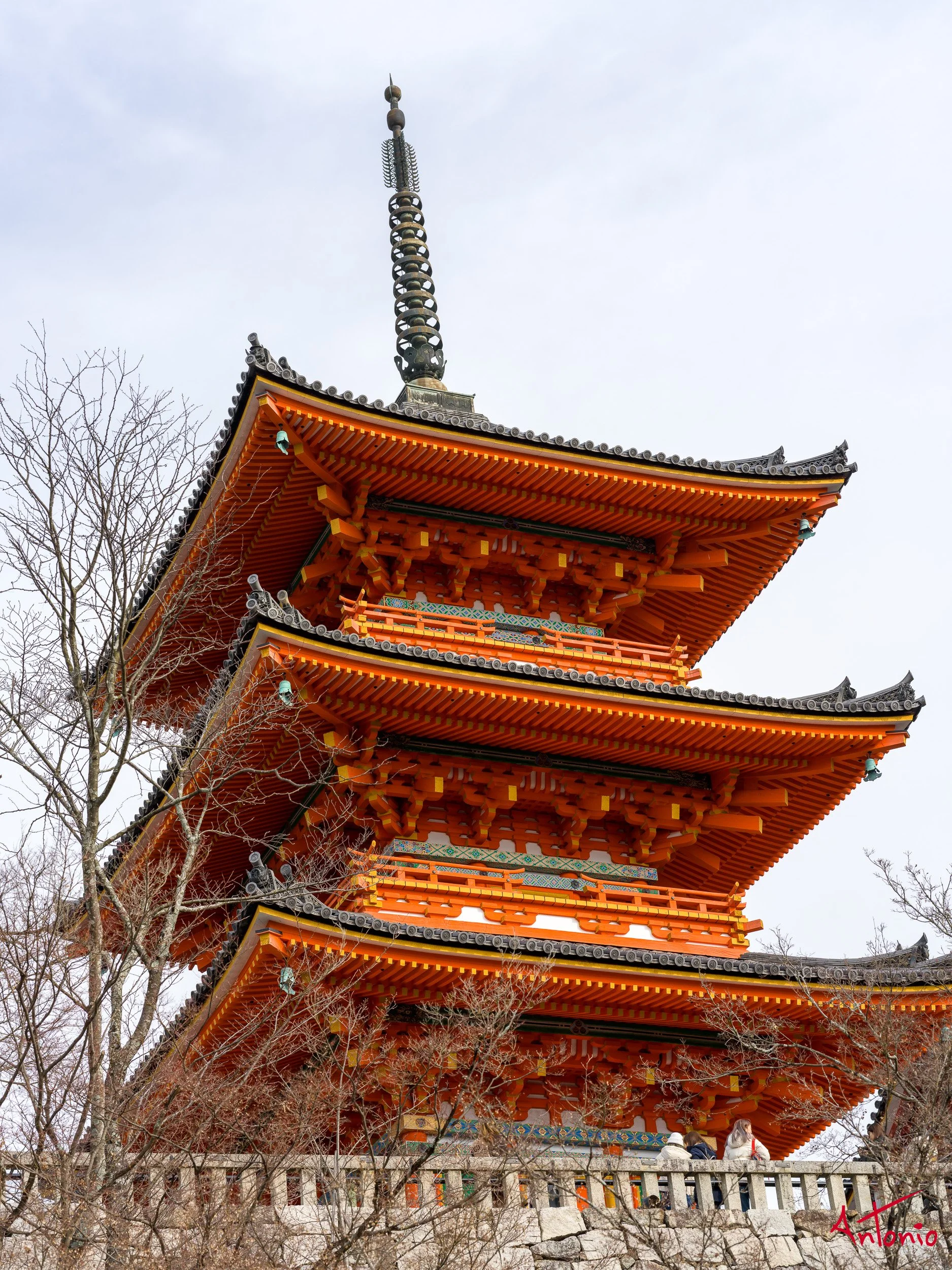 20240103_110042 B0001510 Kyoto, Japan.jpg