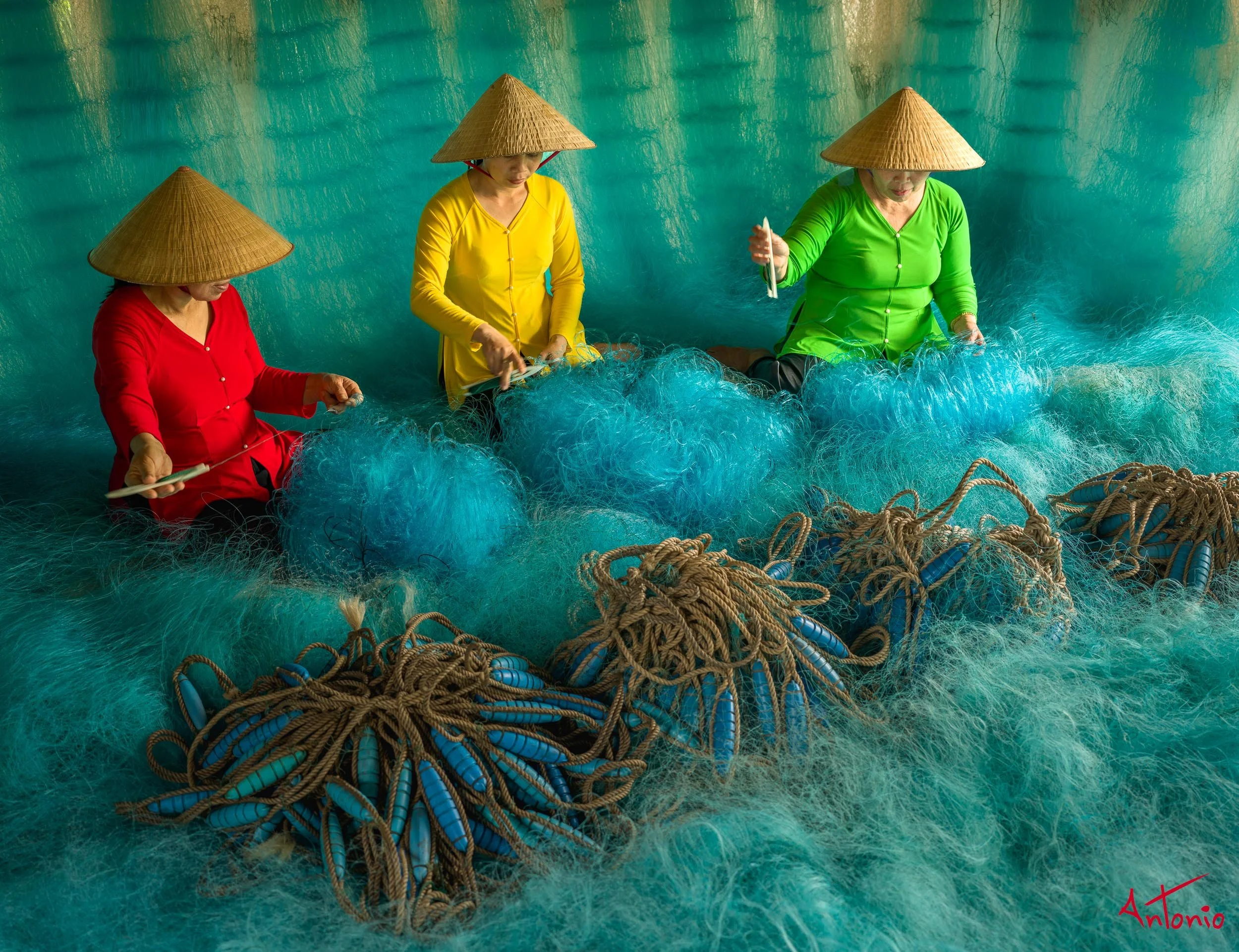 20260129_093000 B0010049 Da Nang, Vietnam.jpg