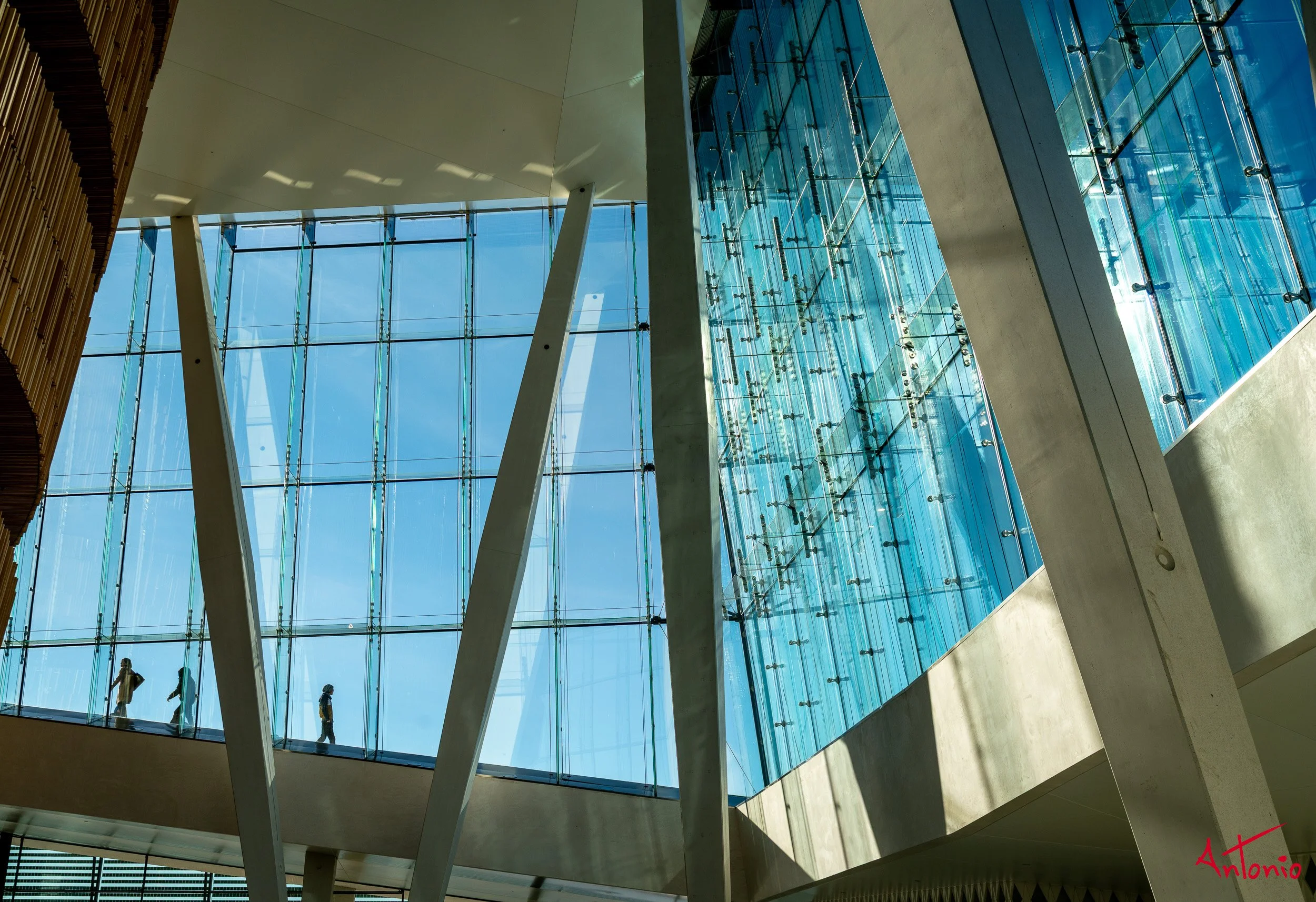 20160223_102859 Oslo.jpg