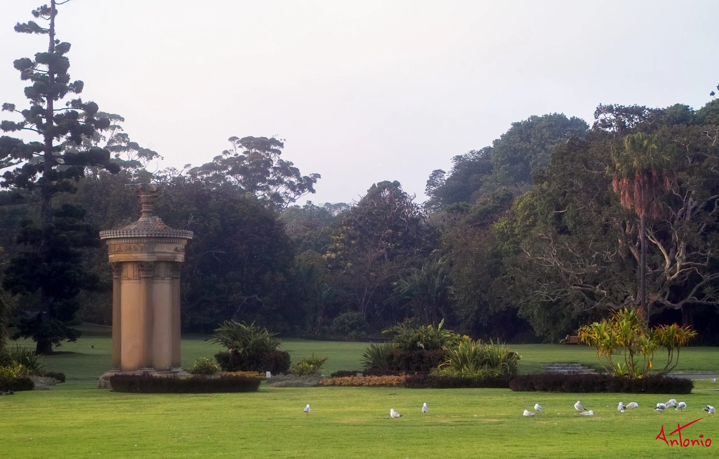 20031120_064054 Sydney.jpg