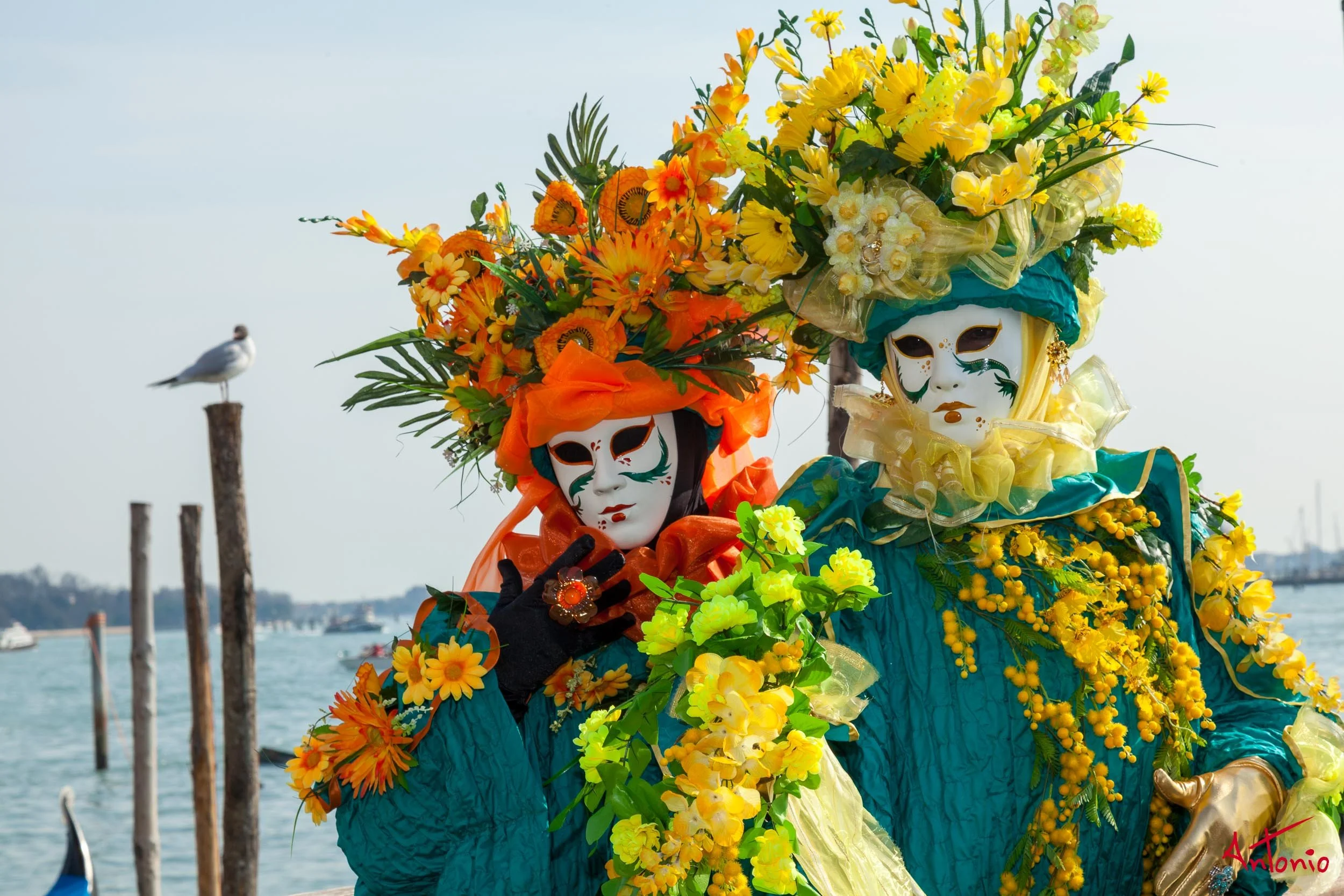 20120218_123228 Carnaval de venecia.jpg
