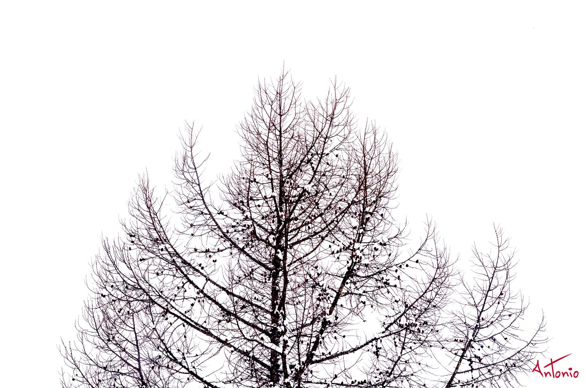 20240116_121217 B0004479 Hokaido.jpg