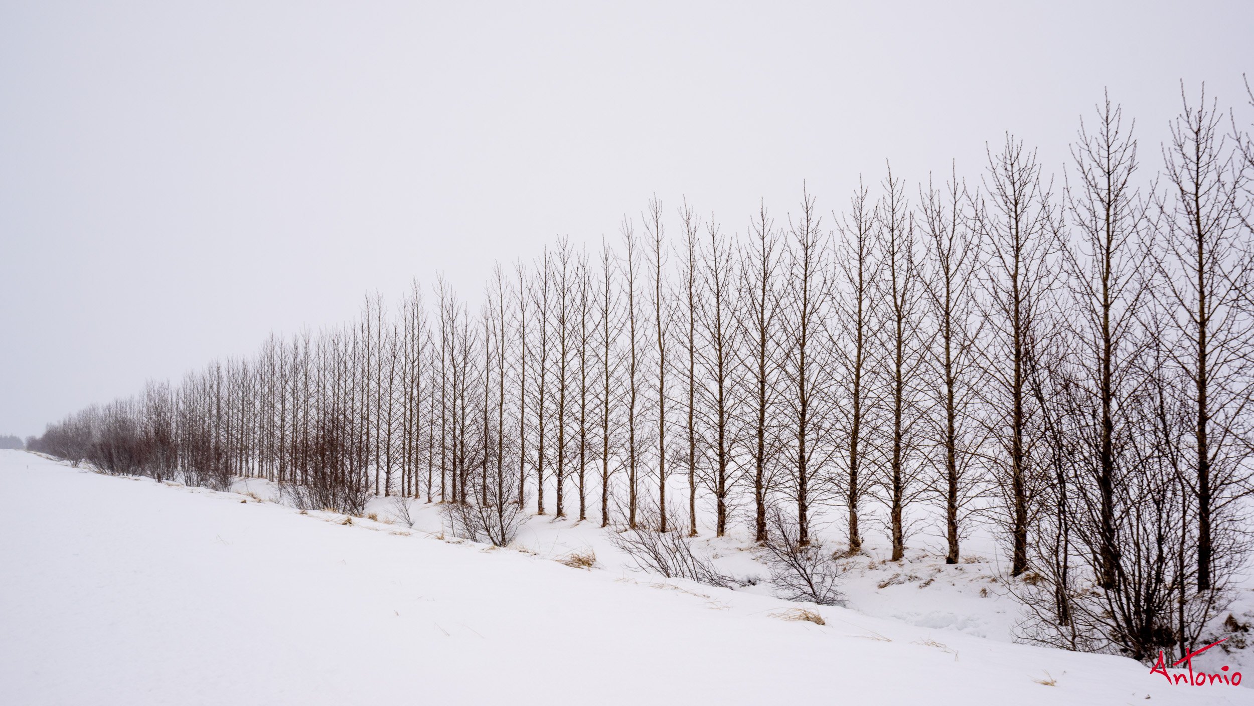 20150123_122716 Islandia.jpg