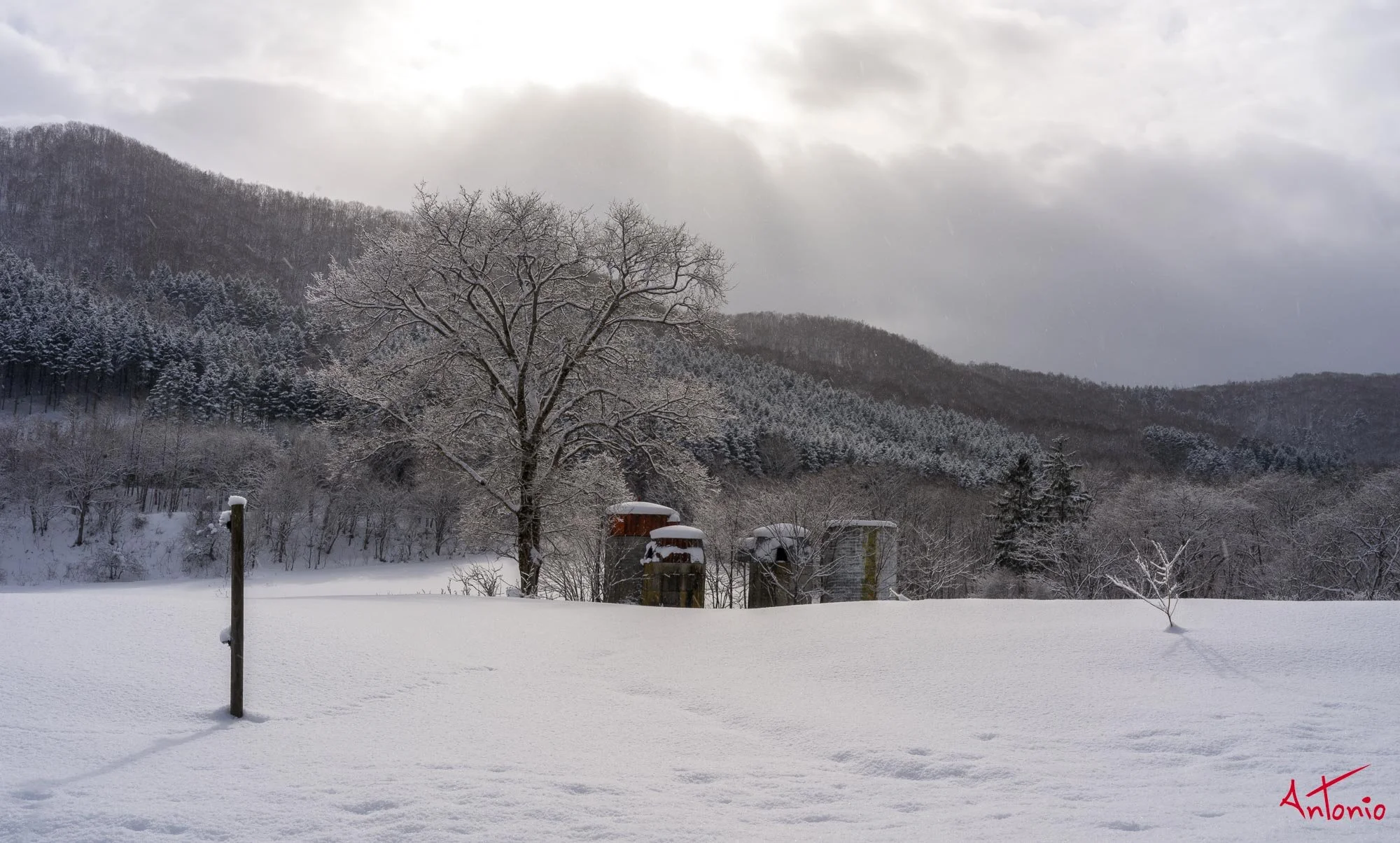 20240117_111240 B0004700 Hokaido.jpg