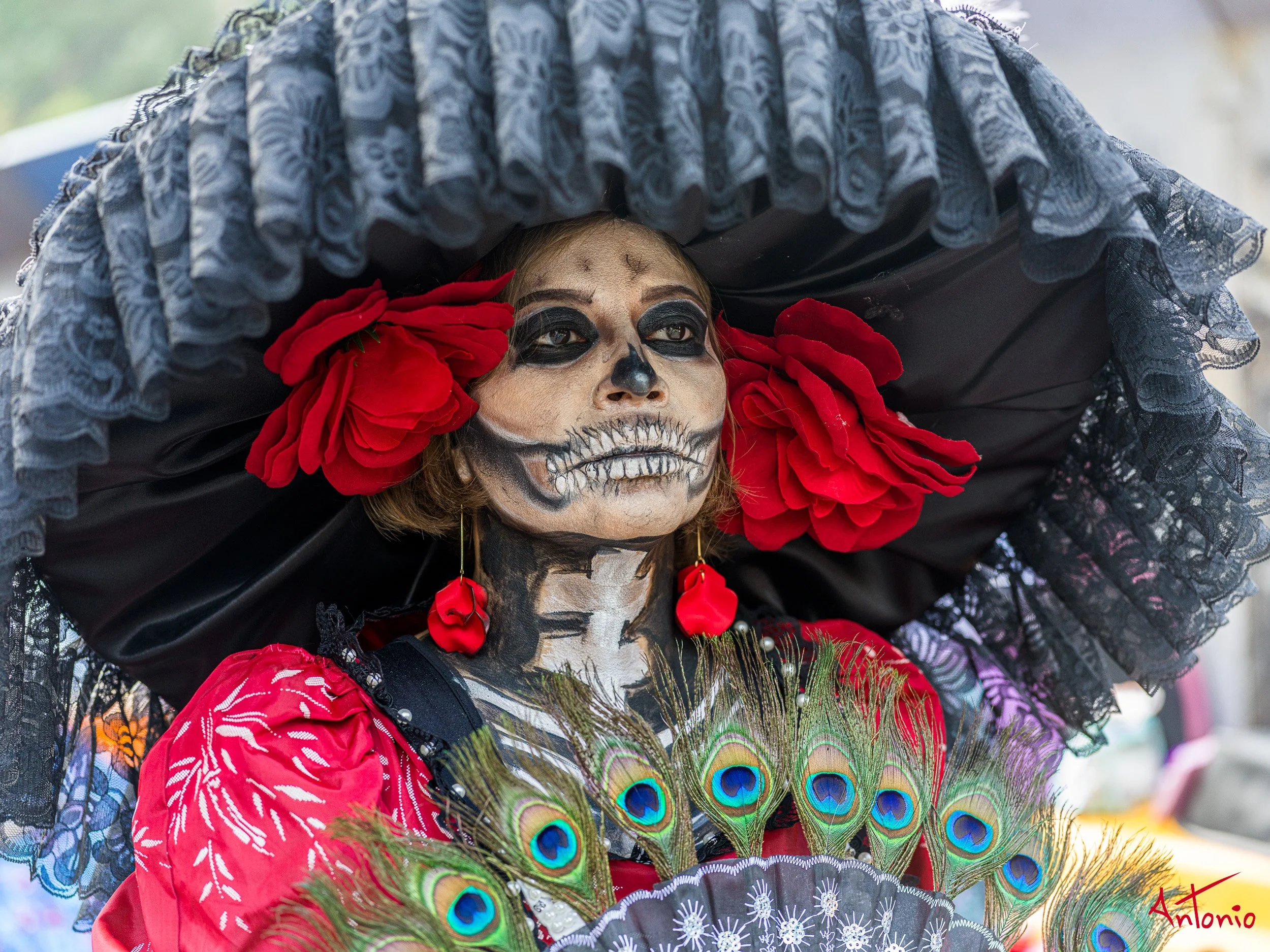 20241027_162305 B0006792 Catrinas.jpg