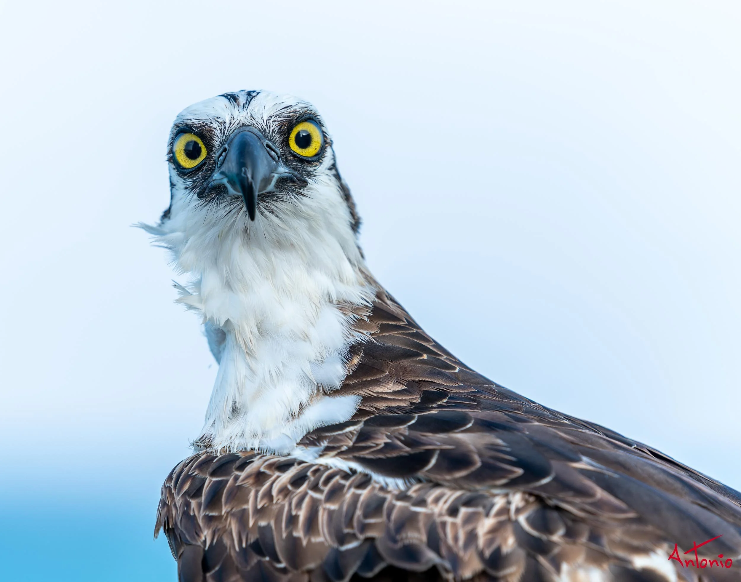 20190416_171516 Isla Mujeres.jpg