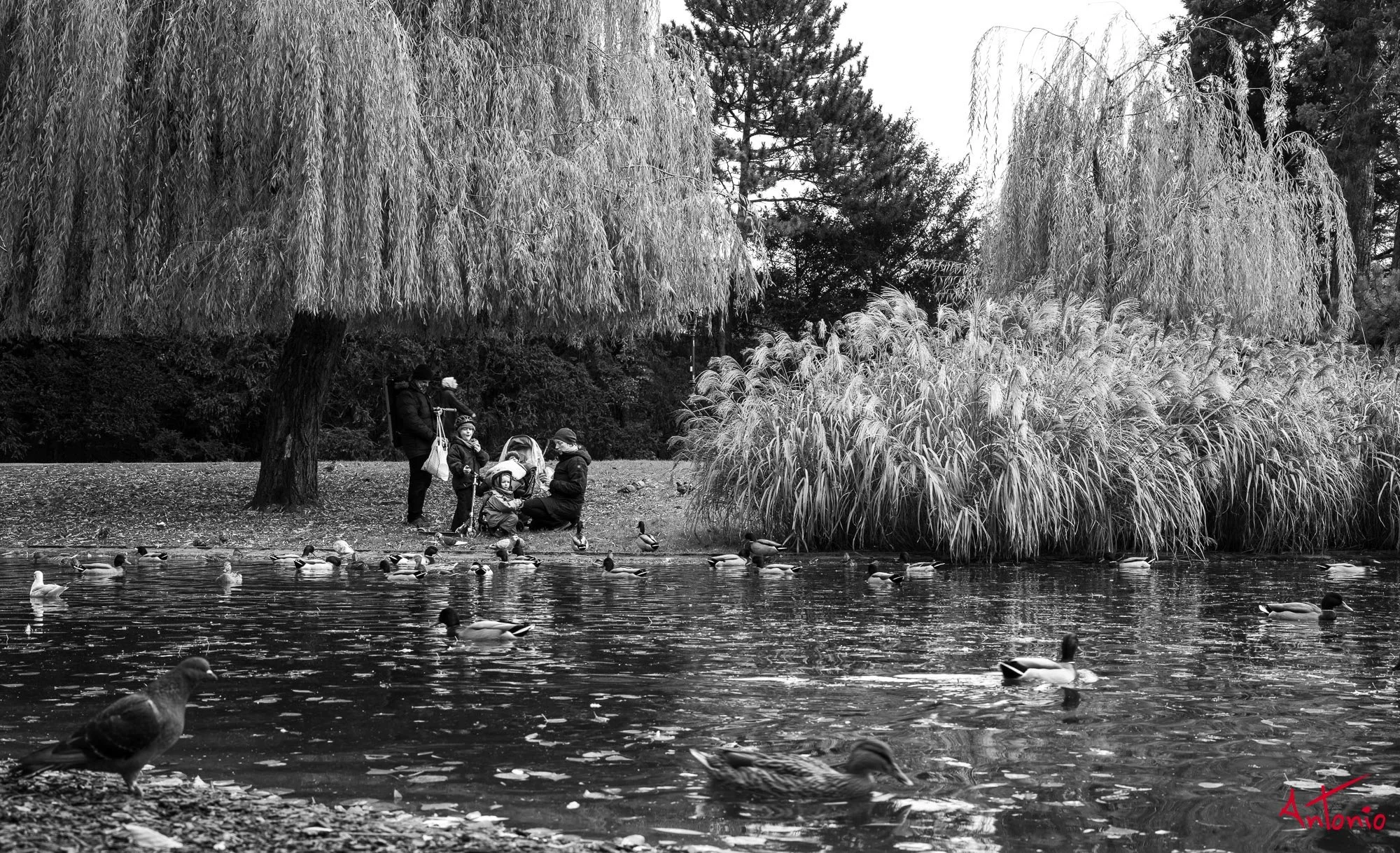 20221126_065438 B0000061 Viena.jpg