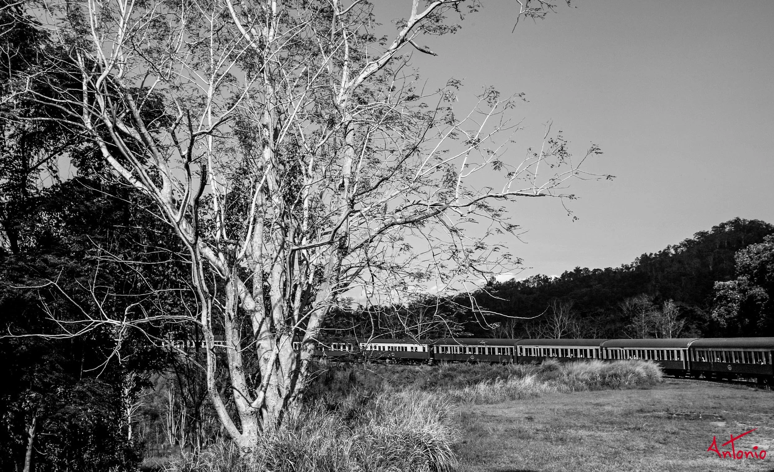 20031126_174000 Cairns.jpg