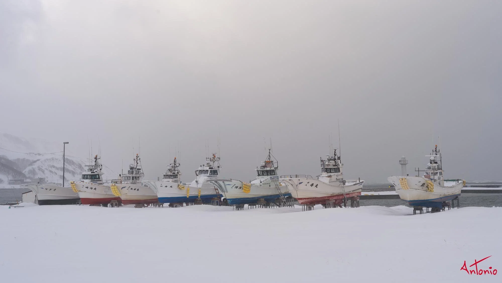 20240115_082002 B0004408 Hokaido.jpg