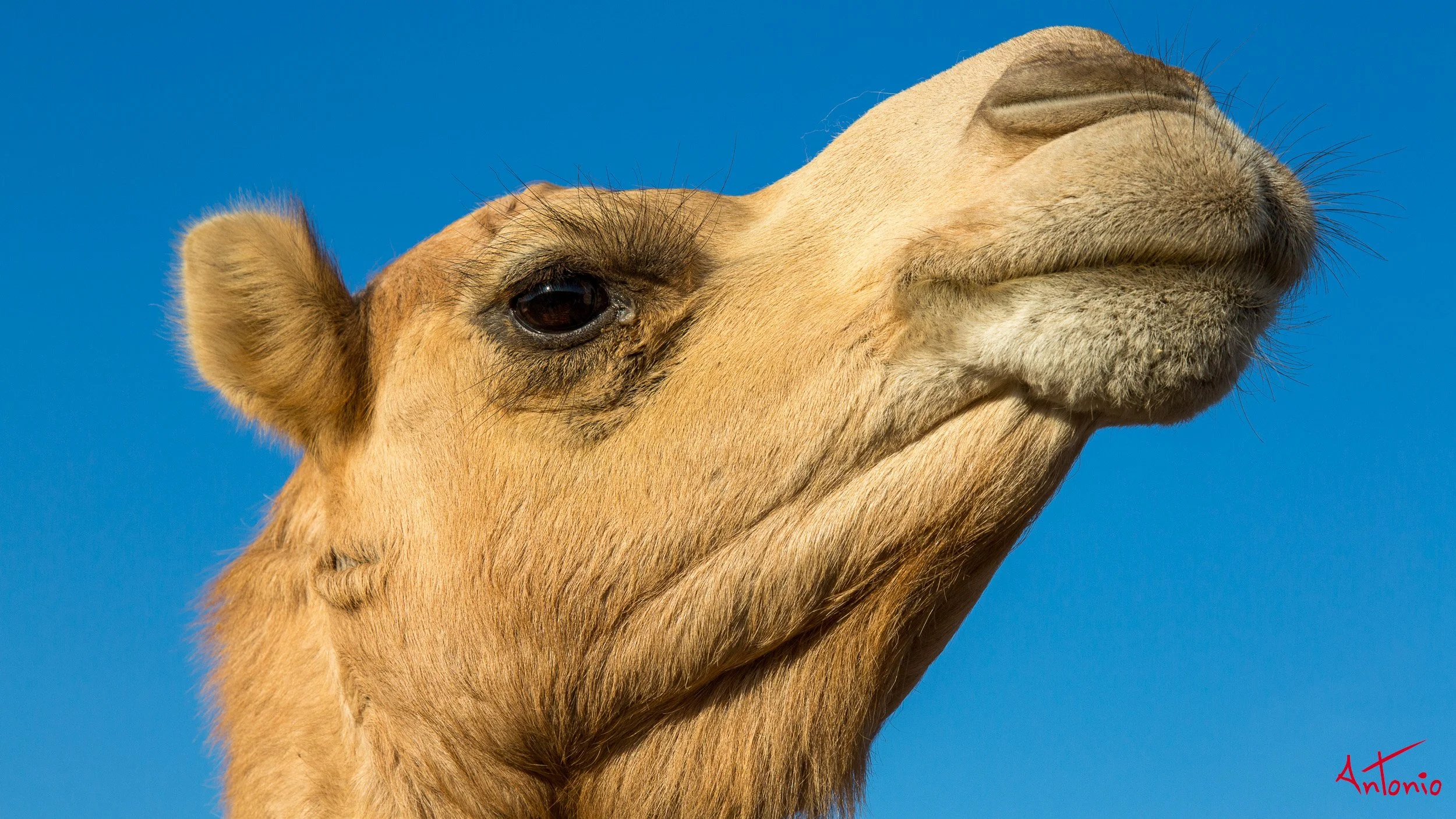 20121124_082217 Pushkar.jpg