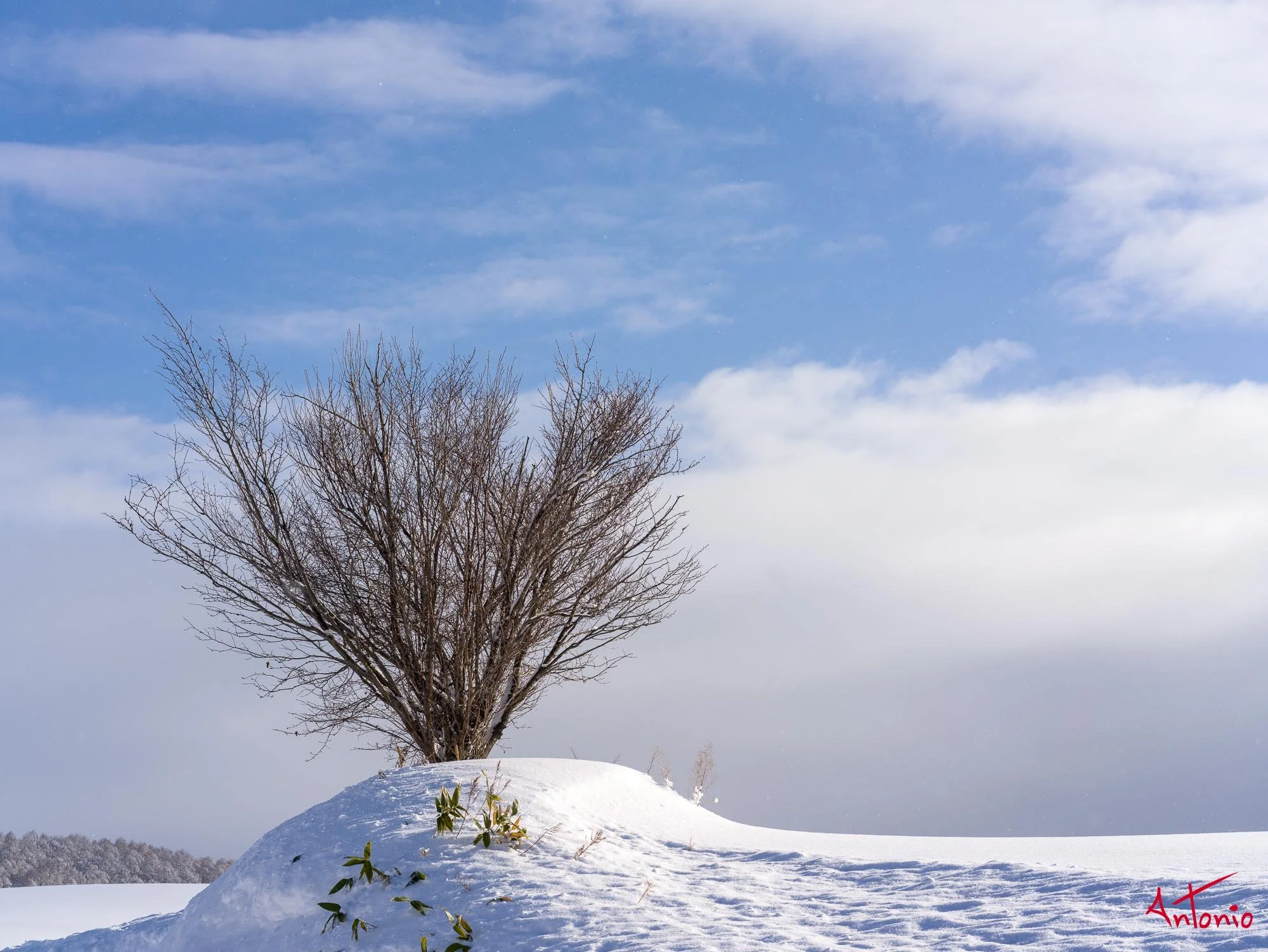 20240108_100729 B0002751 Hokaido.jpg
